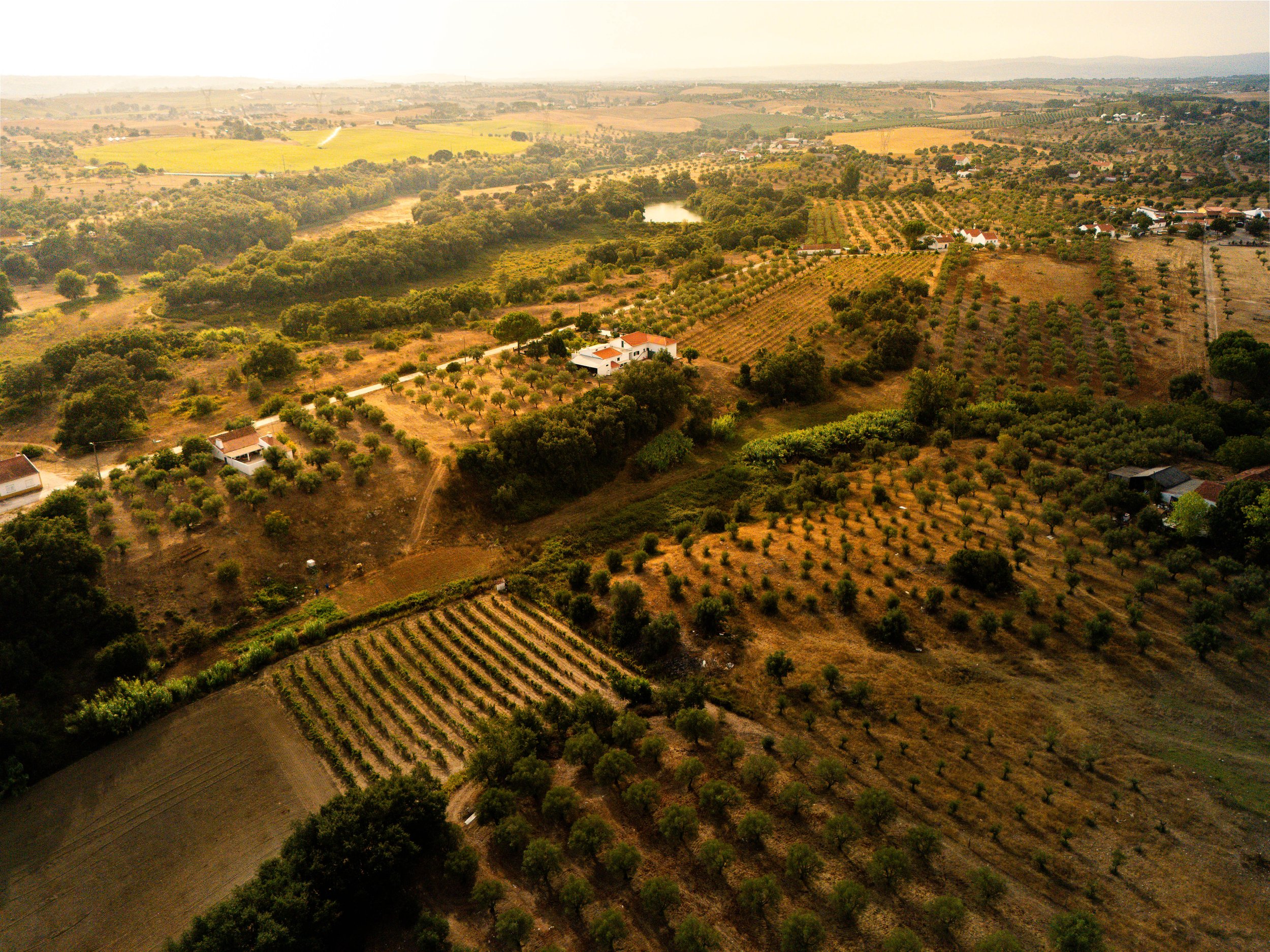 17082026-DJI_20260817181506_0031_D-HDR.jpg