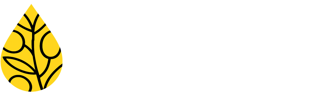 Quinta Limoeiro for Sale in Portugal