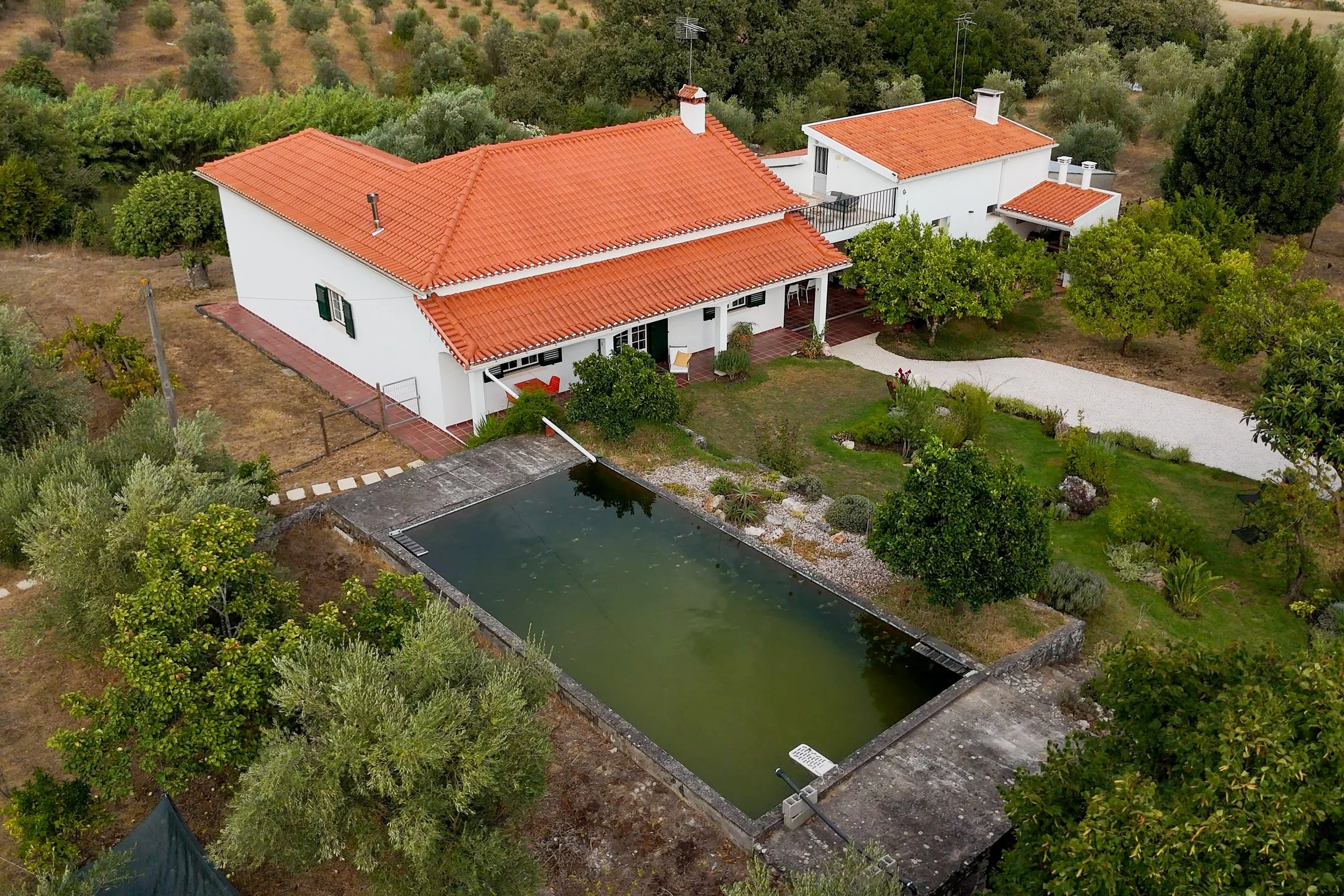 17082026-DJI_20260817181950_0054_D-00-00-04-933.jpg