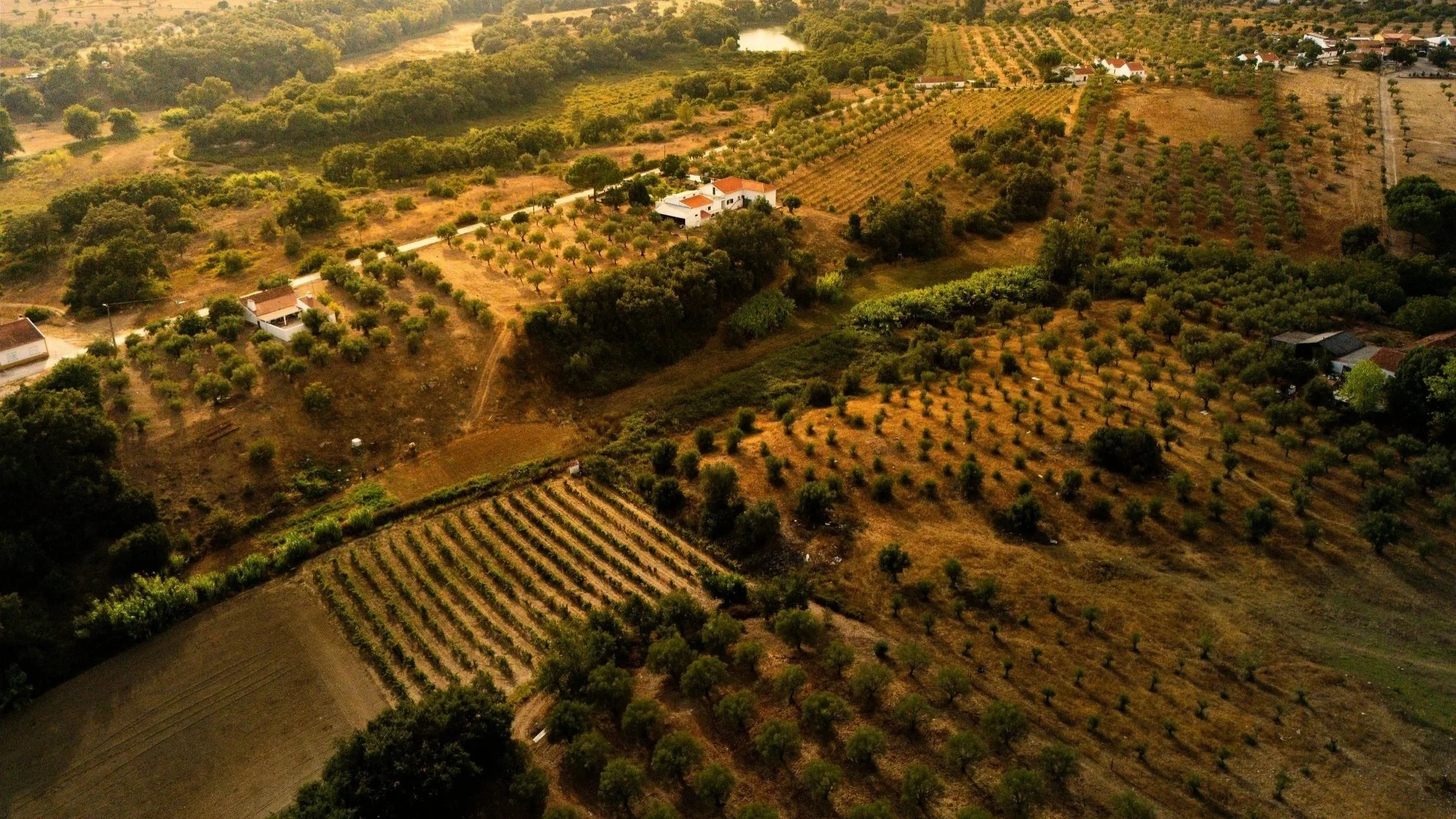 Aerial view of a rural area with orchards, vineyards, small buildings, and a water source in the background, surrounded by trees and hills.