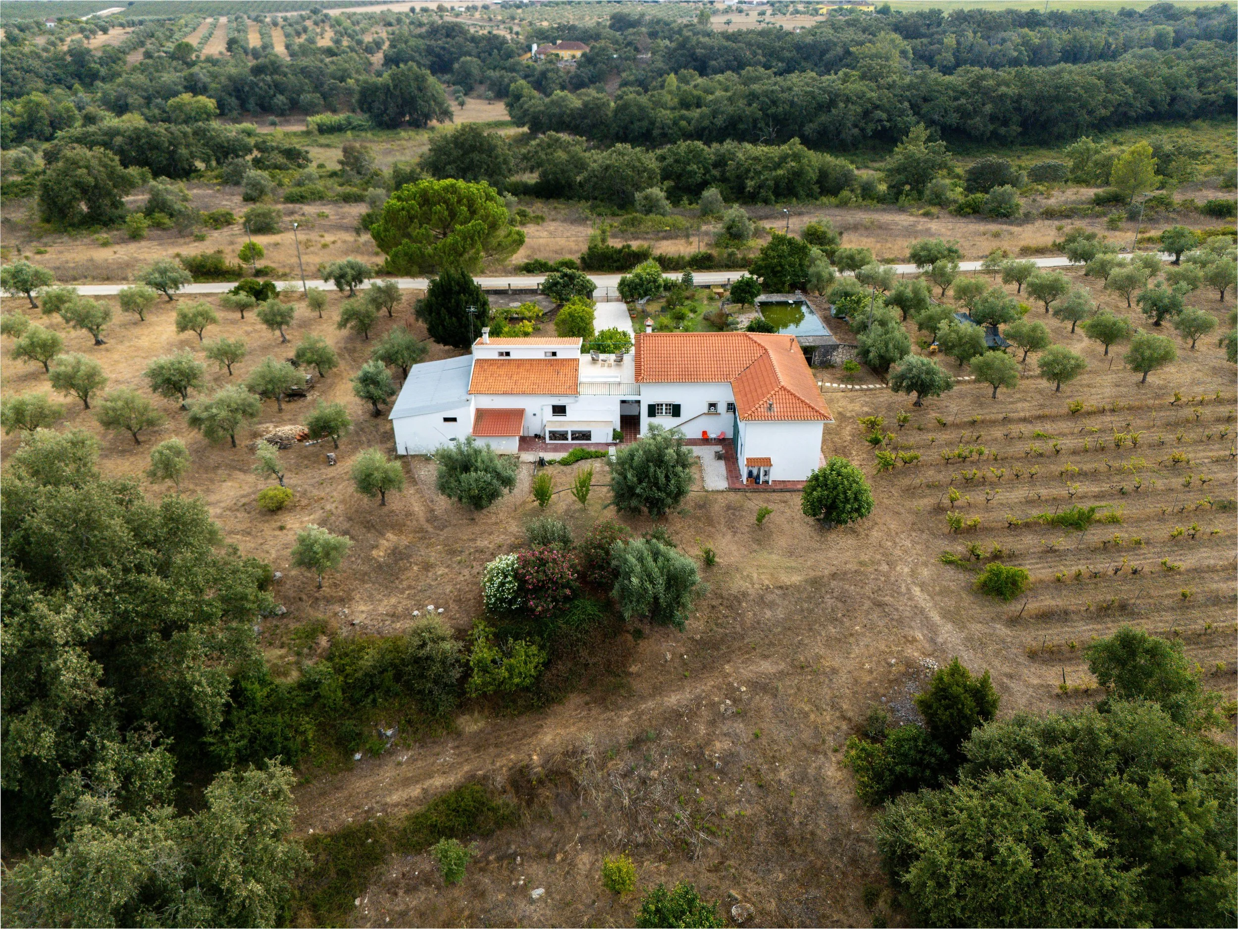 17082026-DJI_20260817182754_0087_D-HDR.jpg