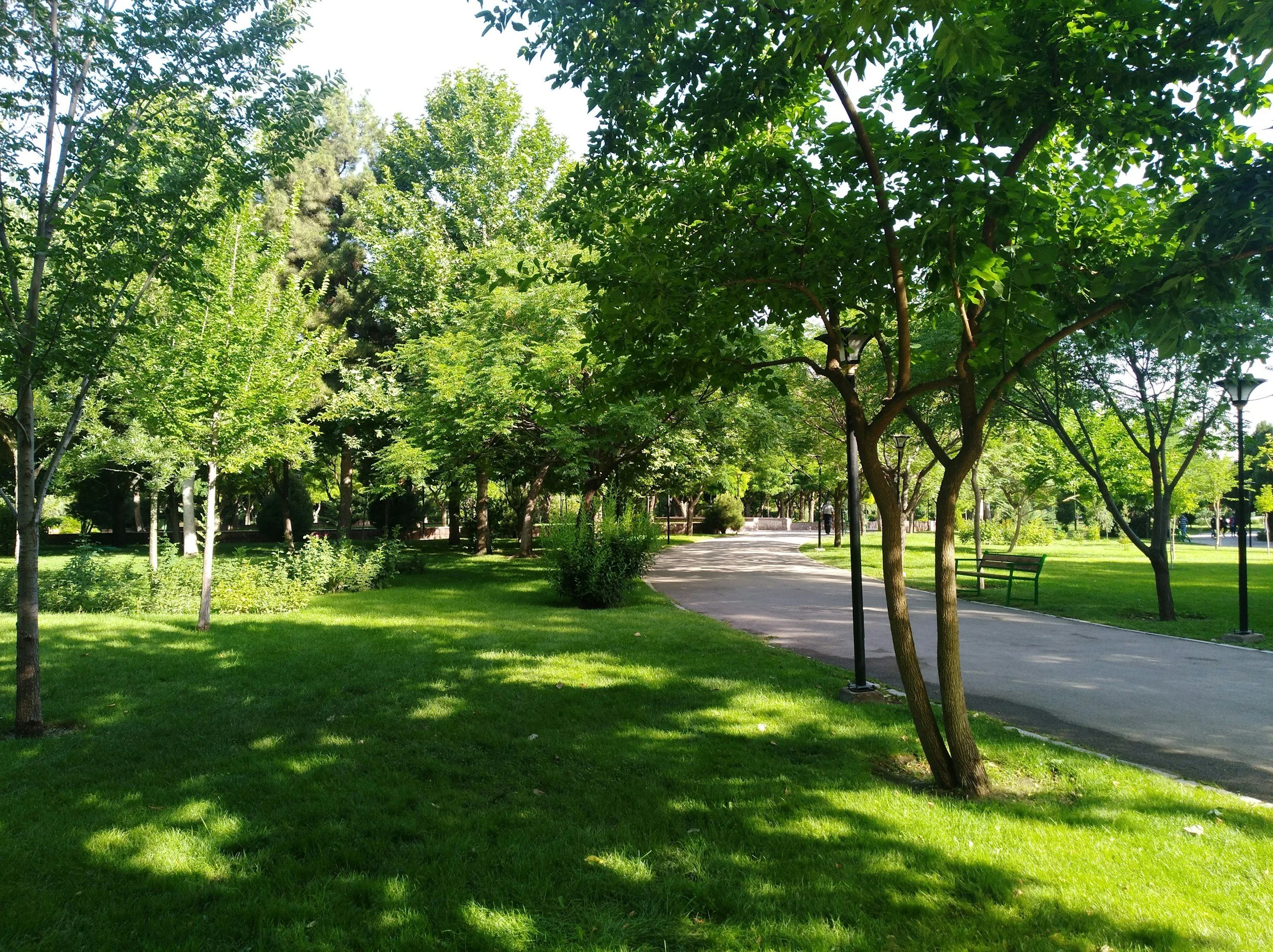 A park scene with a paved walking path, green grass, and numerous trees with lush foliage. There are park benches and lamp posts along the path, with a few people visible in the distance.
