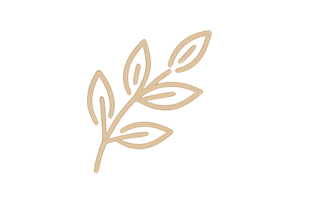 Line drawing of a plant with five leaves on a textured background.
