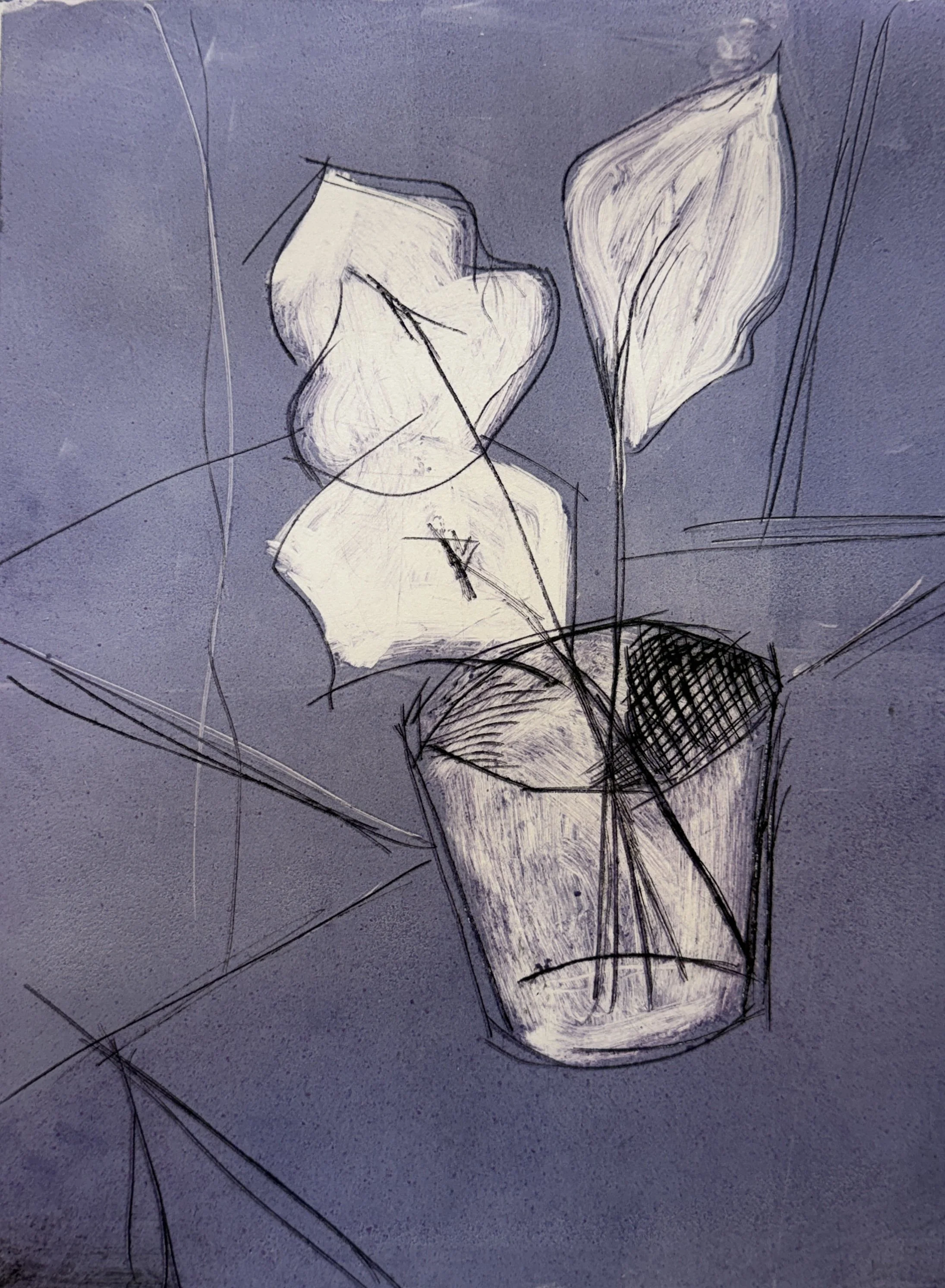 Sketch of a potted plant with large, textured leaves on a dark background.