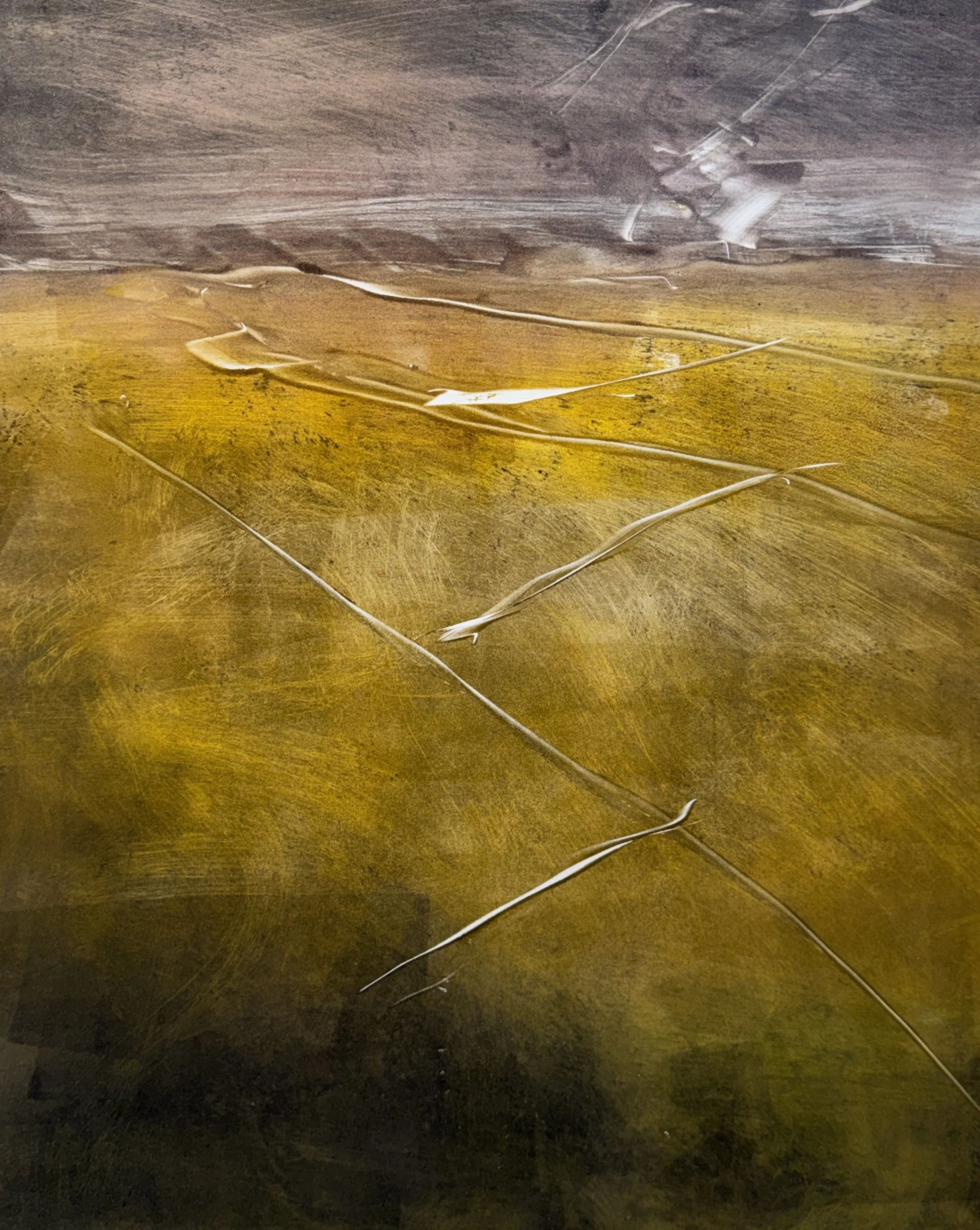 A dark wooden surface with peeling white paint and white, thin, broken sticks or strings scattered across it.
