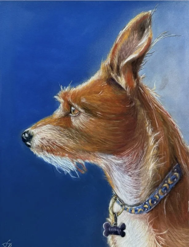 A detailed painting of a dog, possibly a terrier, with reddish-brown fur, a white chest, wearing a blue collar with bones and a bone-shaped tag, set against a plain dark blue background.