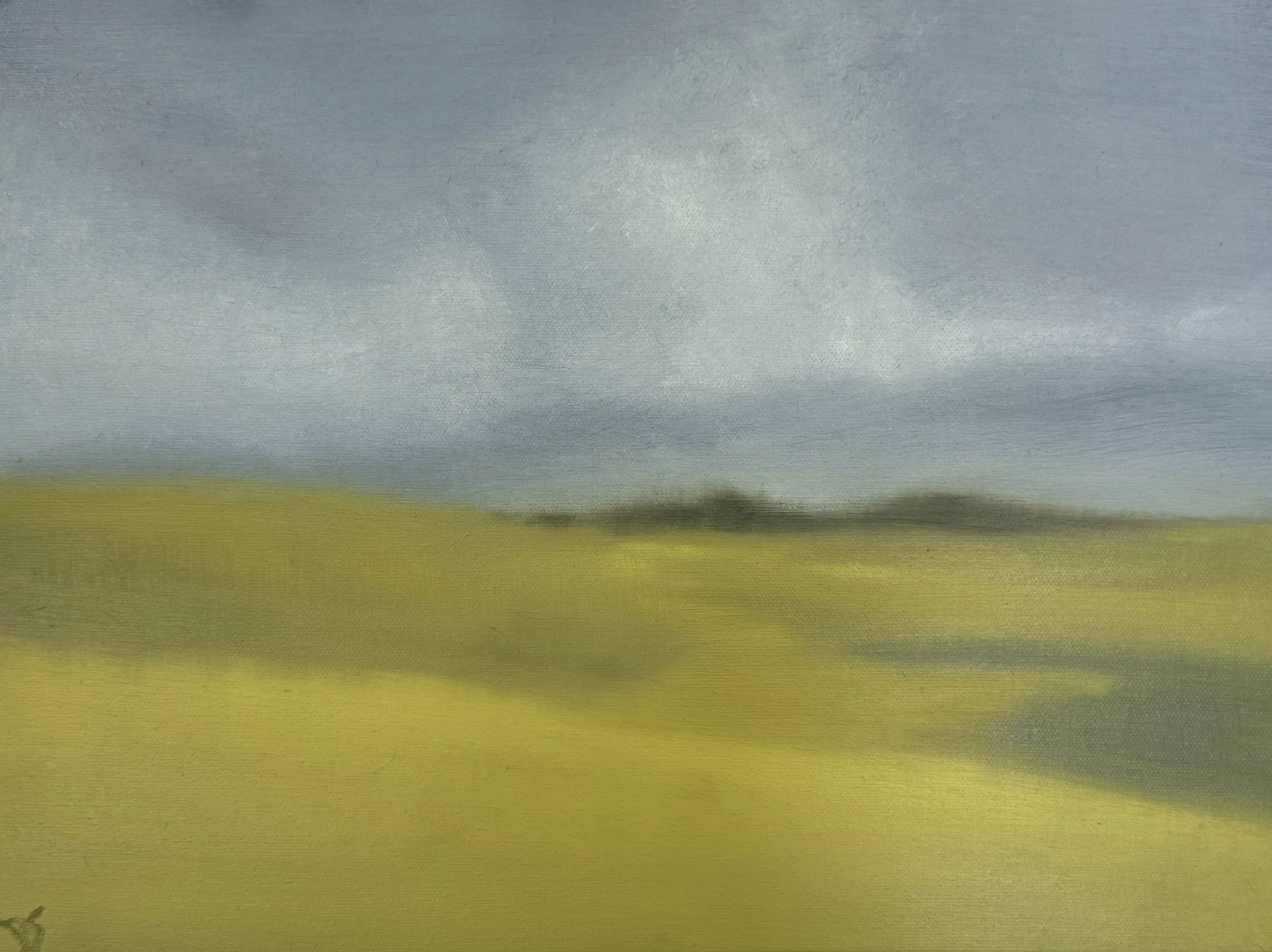 Spring Fields | Oil on Canvas - SOLD