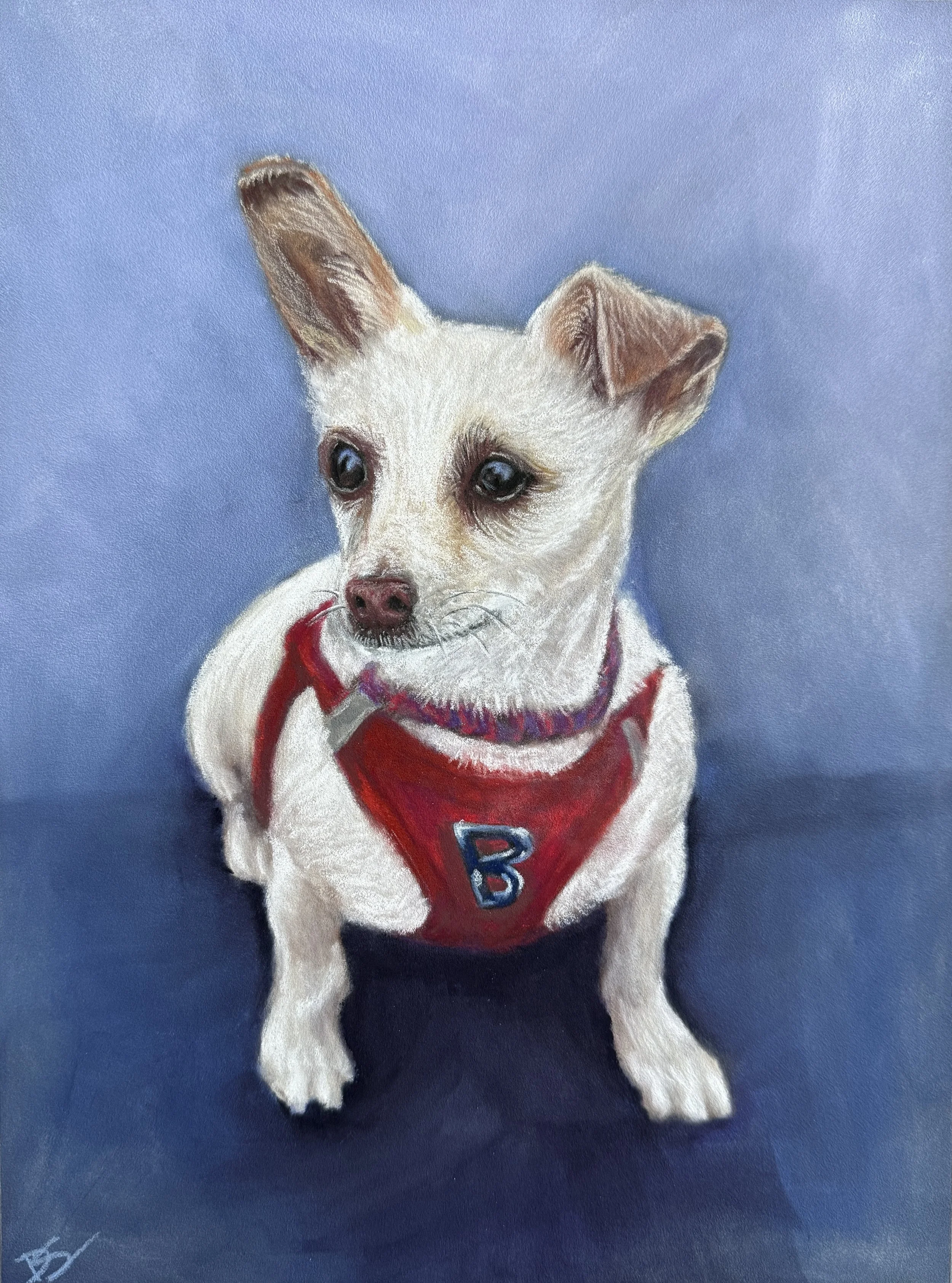 A painting of a small dog, possibly a chihuahua, wearing a red harness with a blue letter 'B' on it, against a blue background.