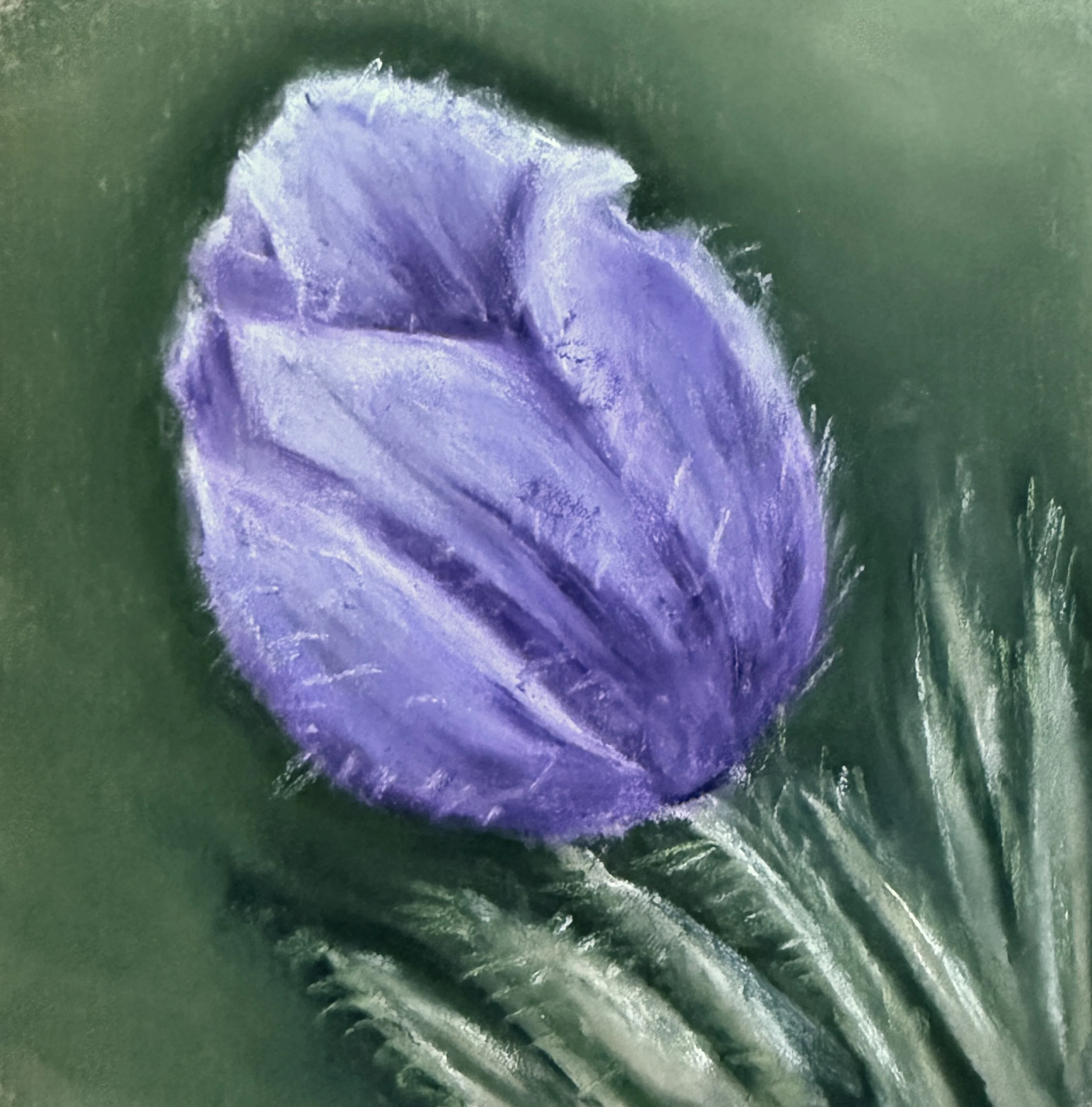Close-up of a purple flower with green background.