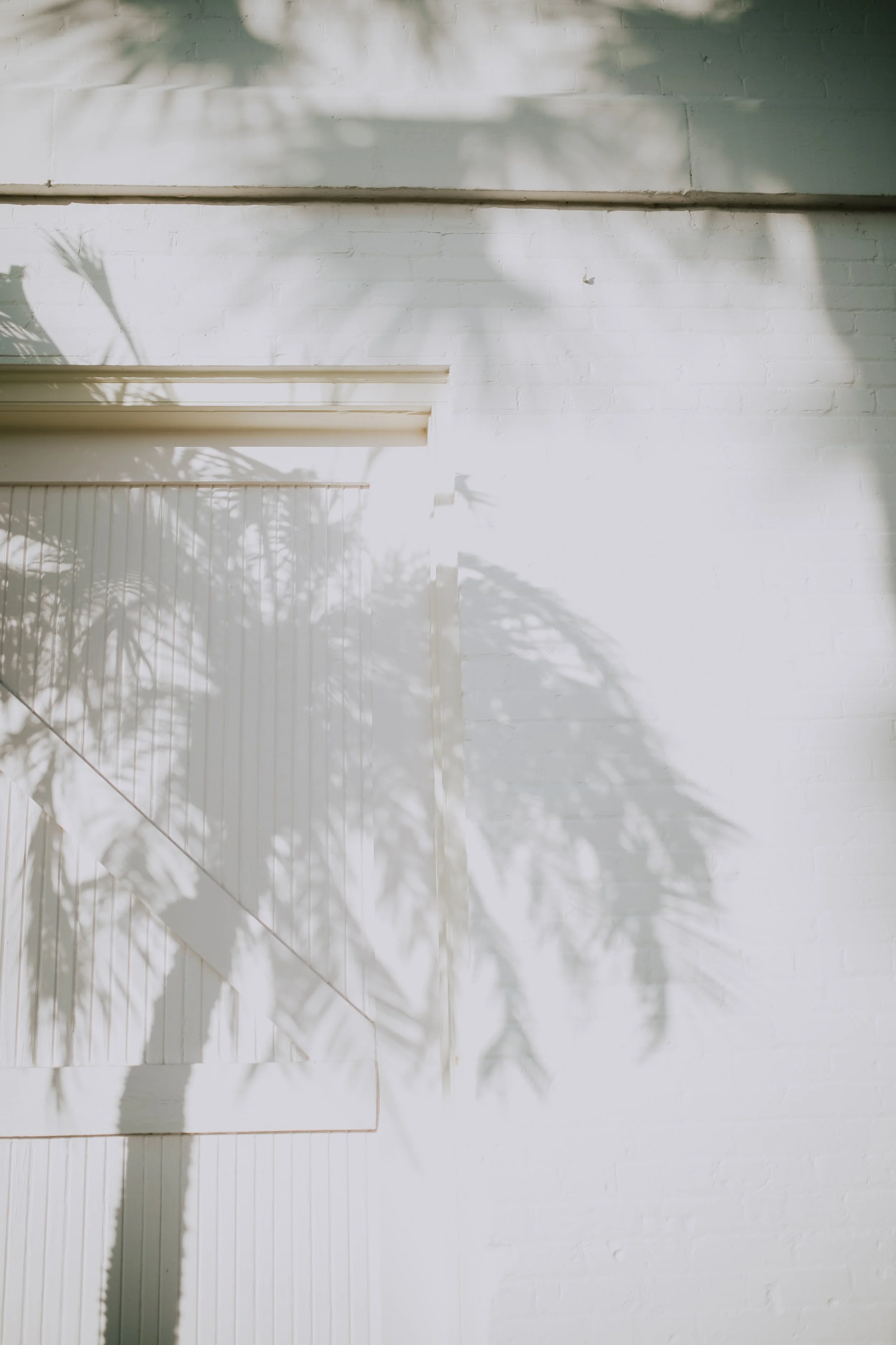 Sunlight casts shadows of leaves on a white brick wall and a white sliding door.