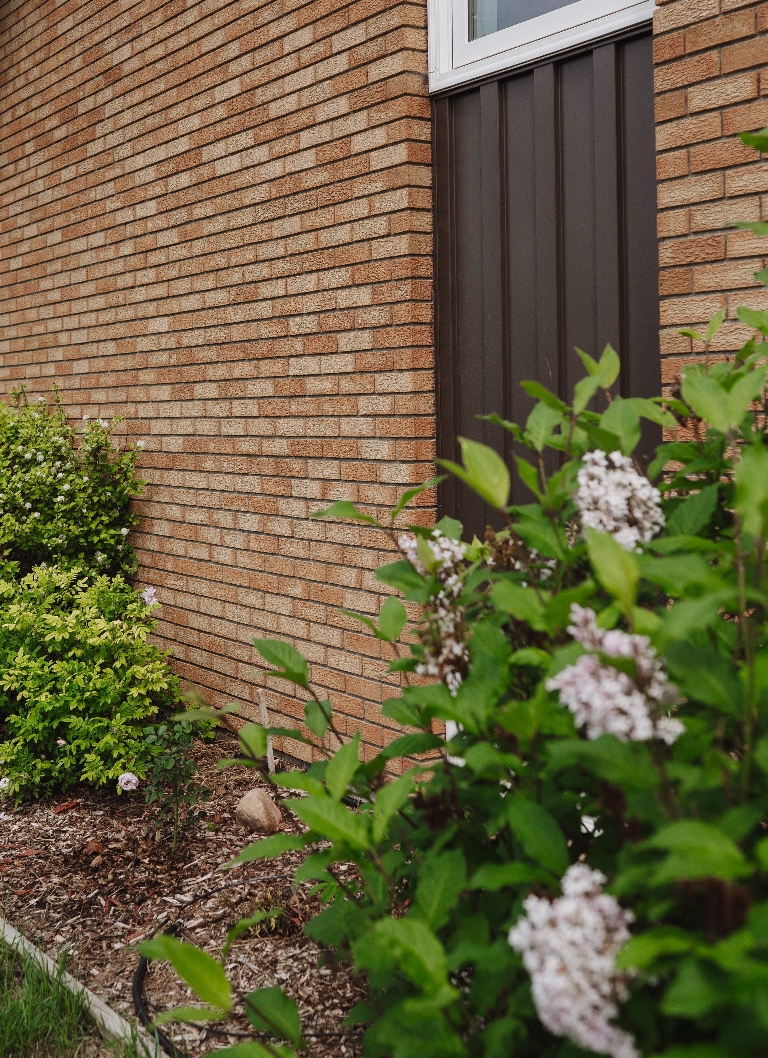 A brick house wall with black siding near a window, surrounded by green plants and flowers.