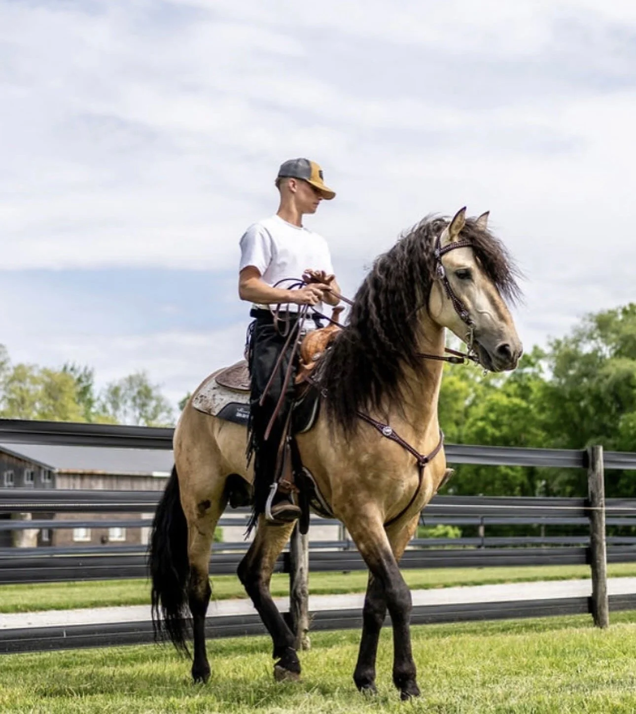A person wearing a white t-shirt, baseball cap, and riding boots is riding a light brown horse with a black mane on a grassy field surrounded by wooden fencing and trees.
