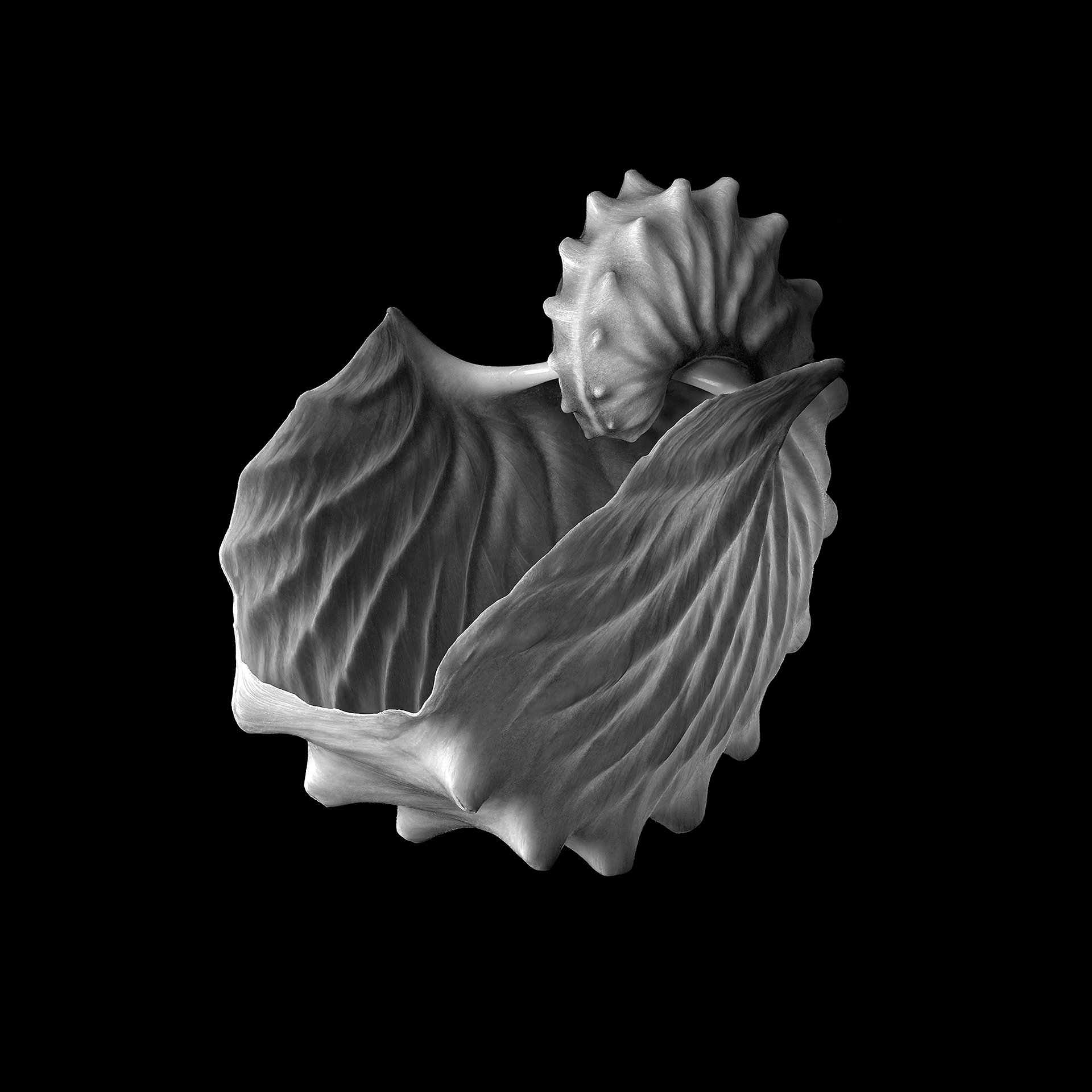 ARGONAUT 3/4