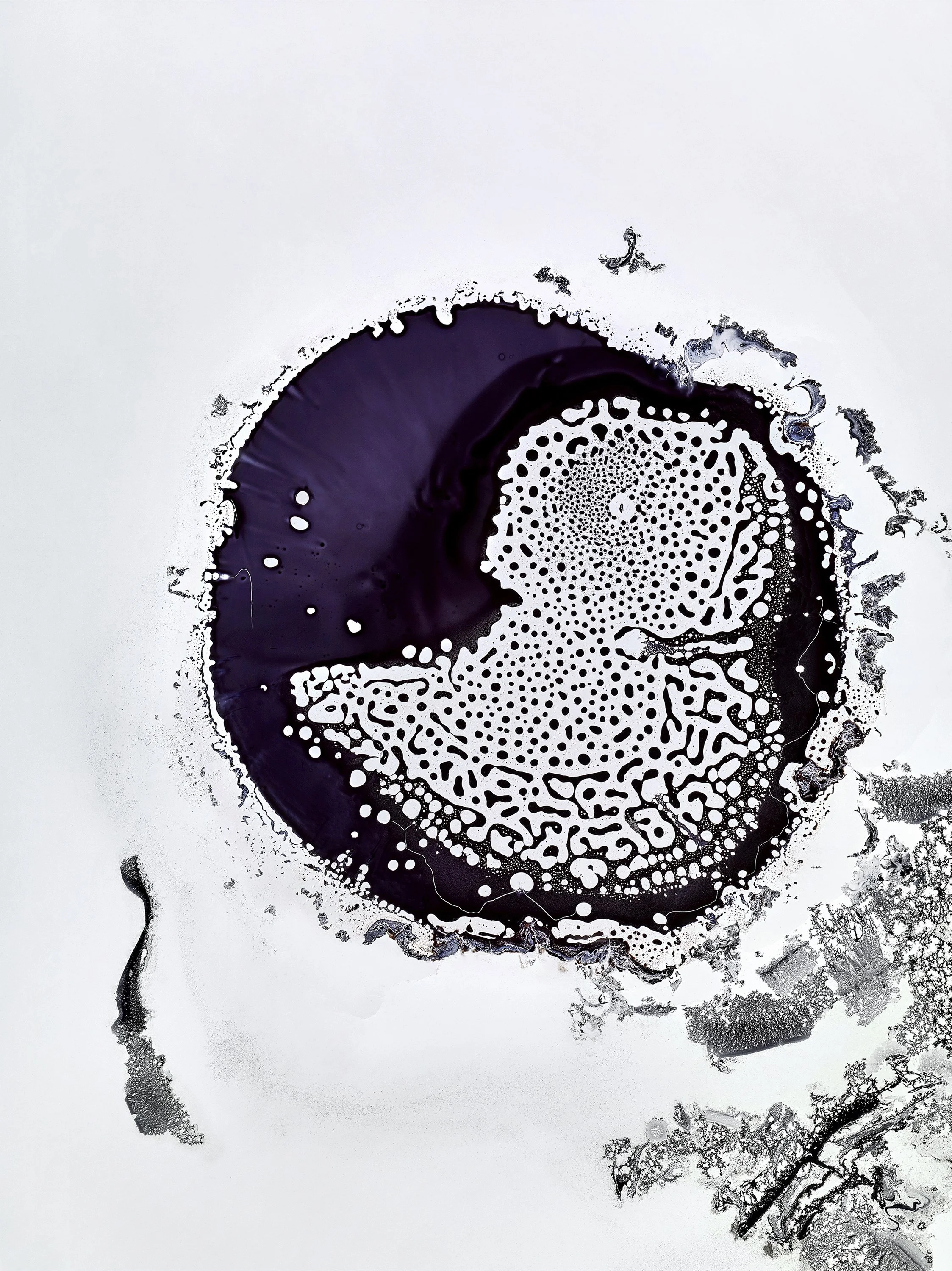 giles_waterline2_2022.jpg
