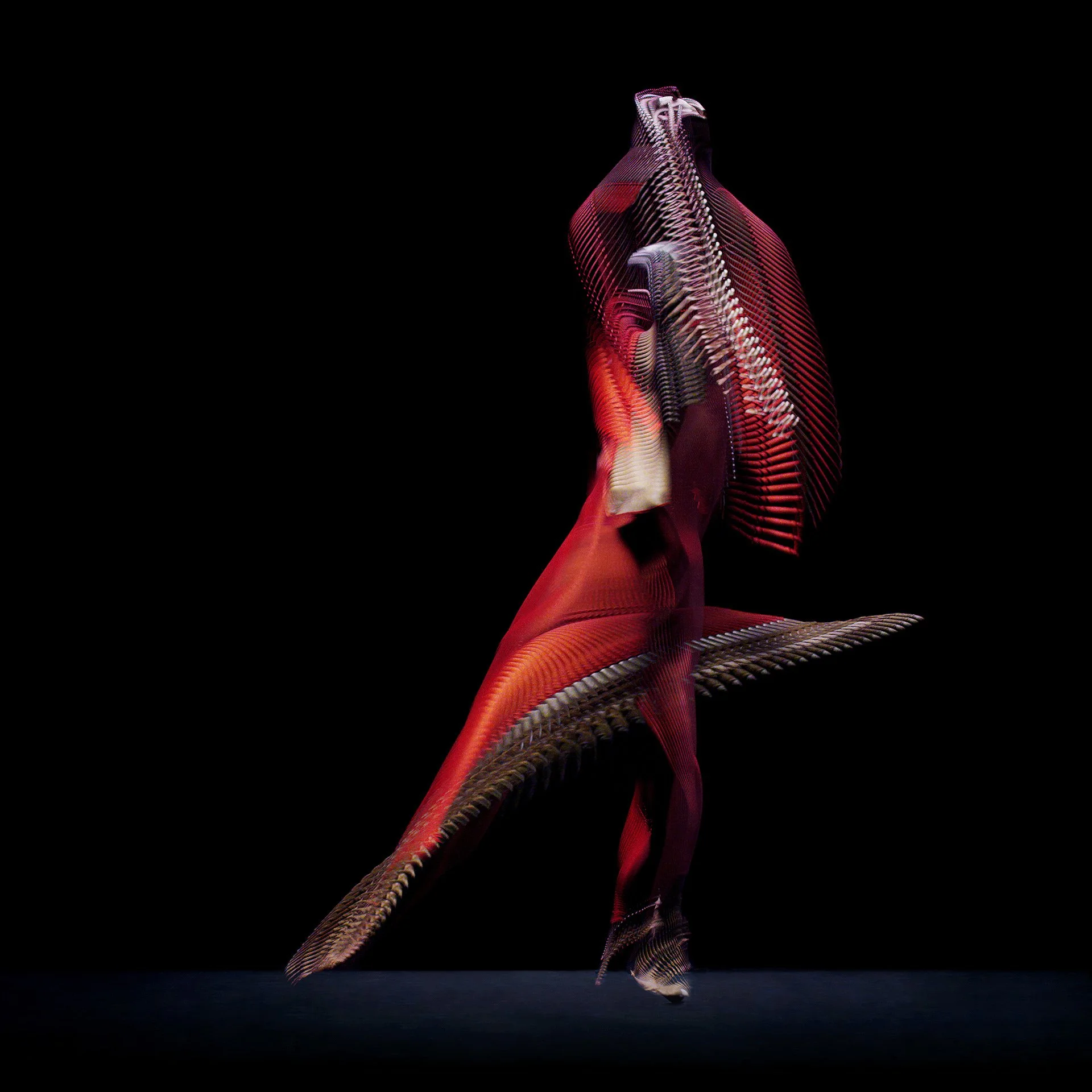 DANCER RED 12