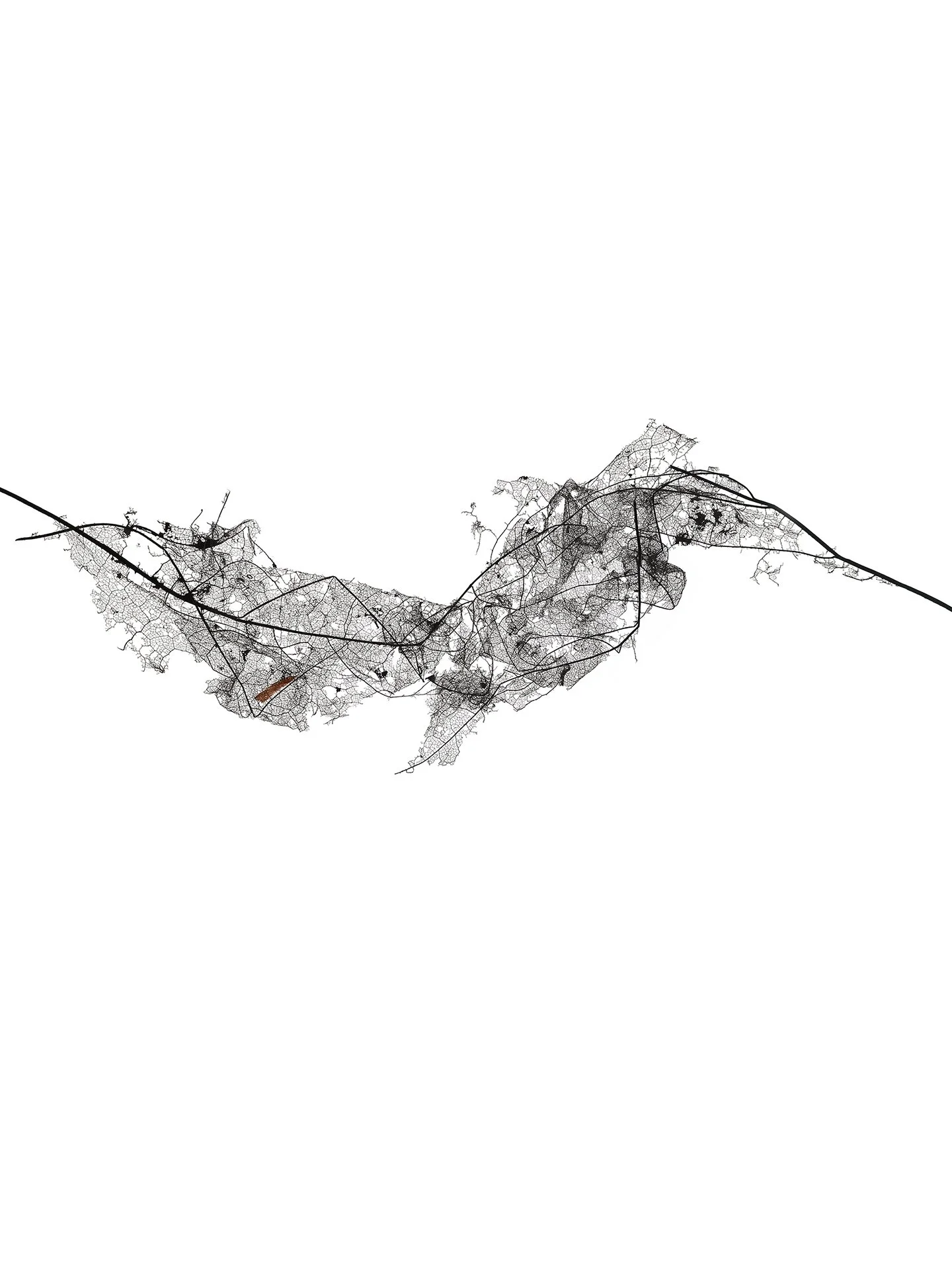 LEAF MAP 10
