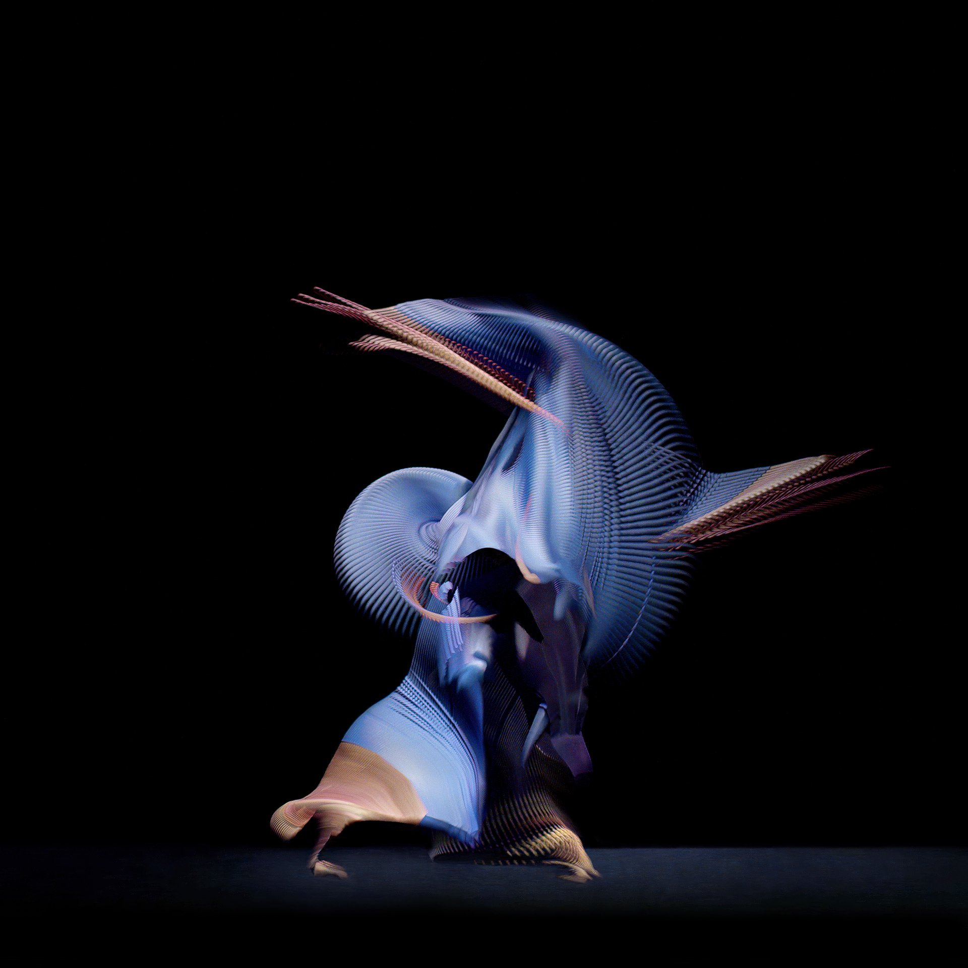 DANCER DARK BLUE 5