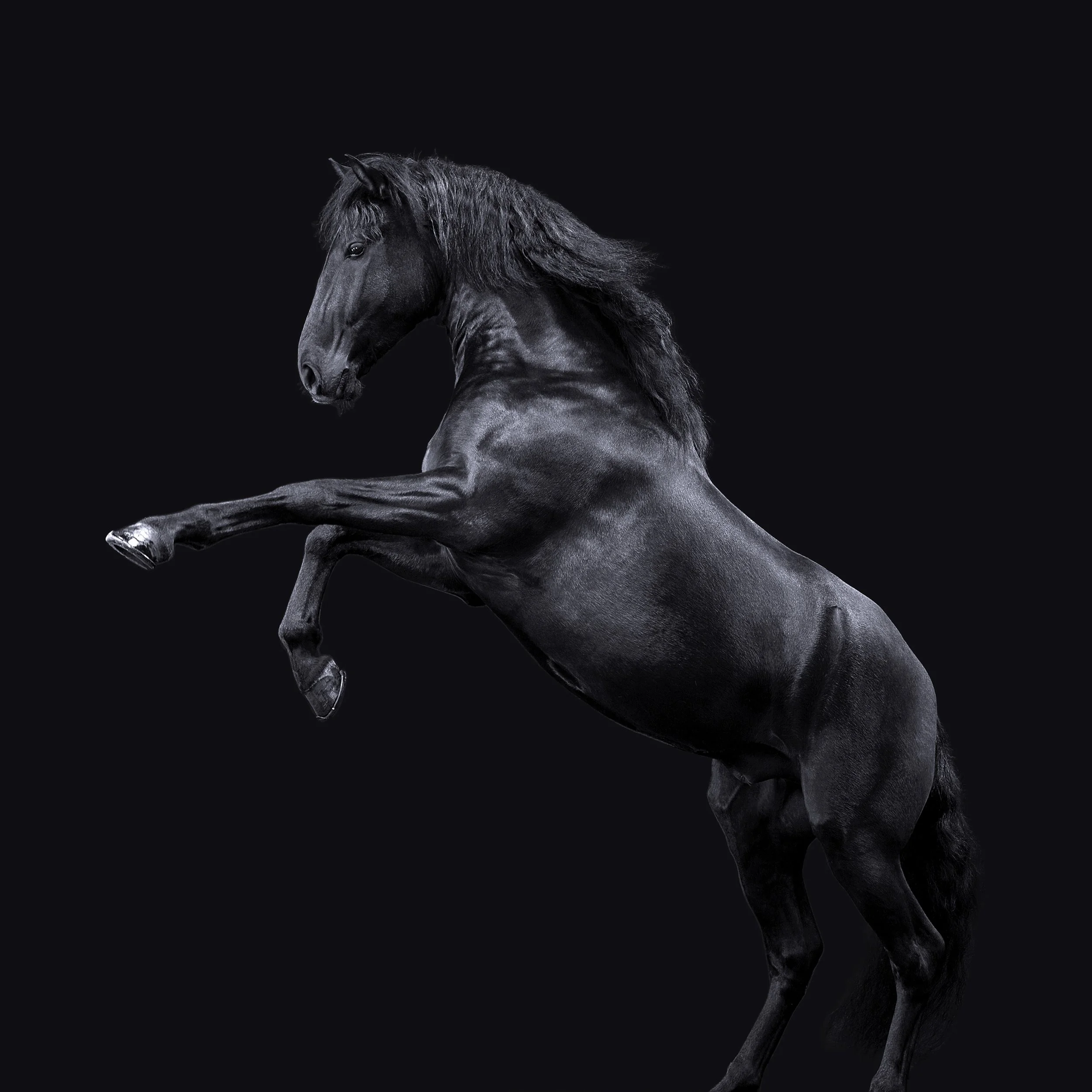 giles_horse1_2023.jpg