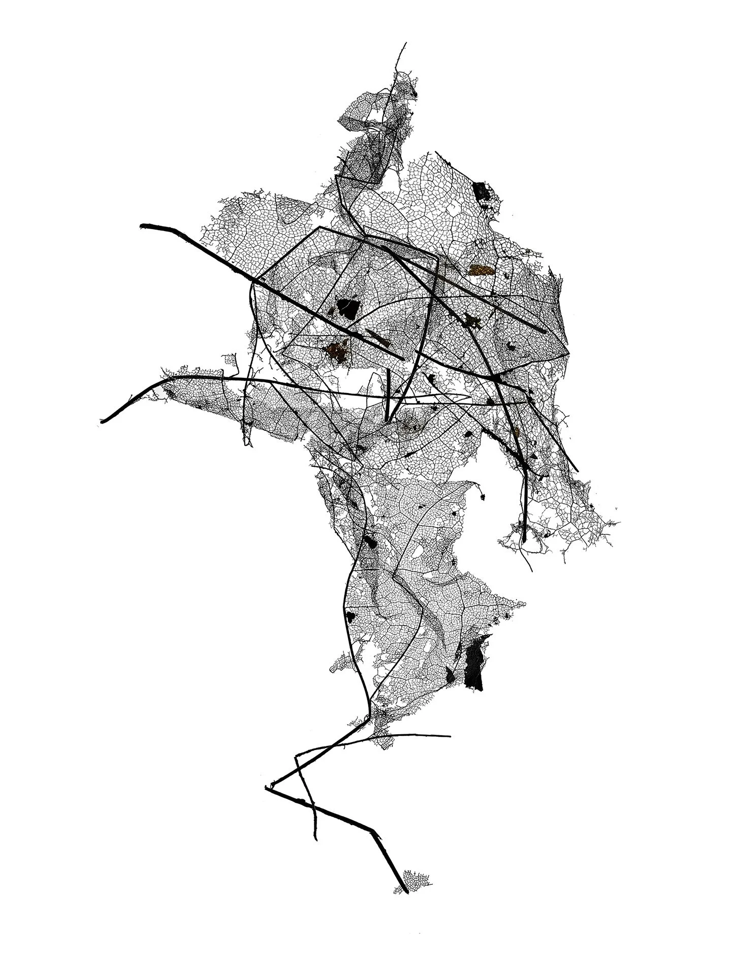 LEAF MAP 28