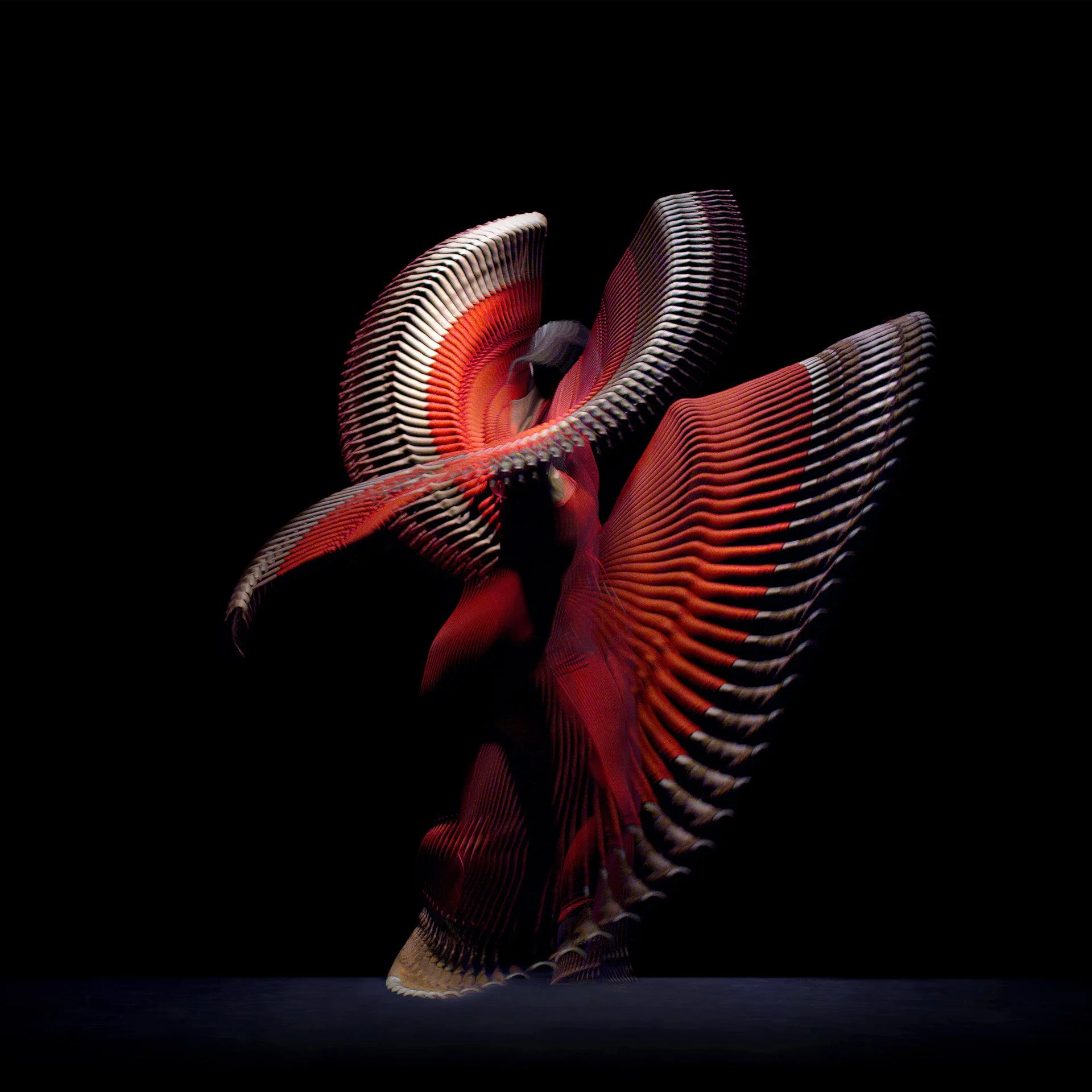 DANCER RED 7