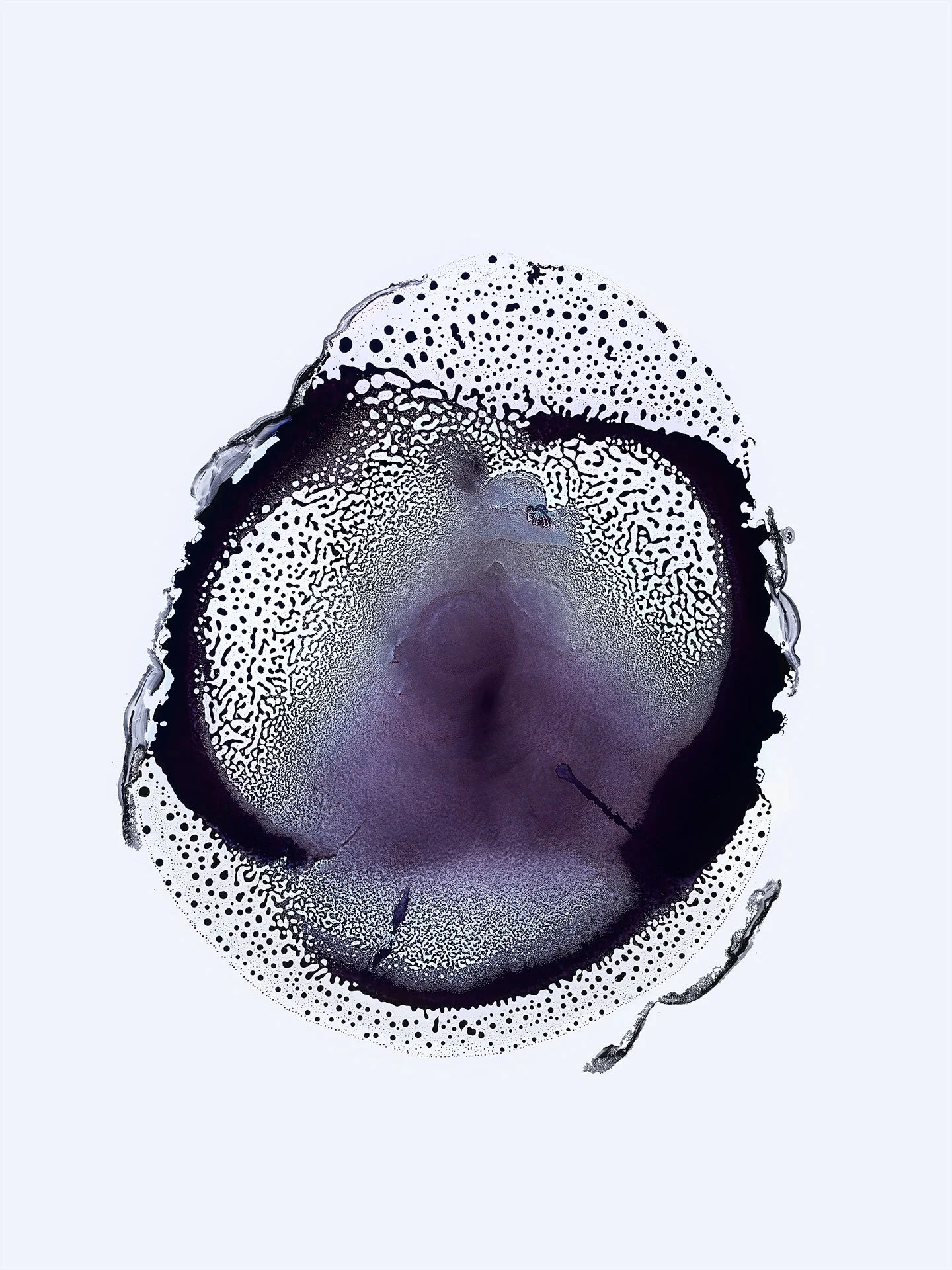WATERLINE 13