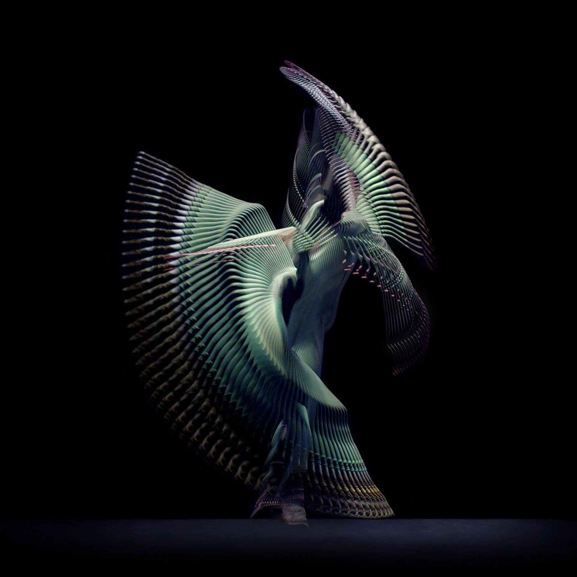 DANCER GREEN 5