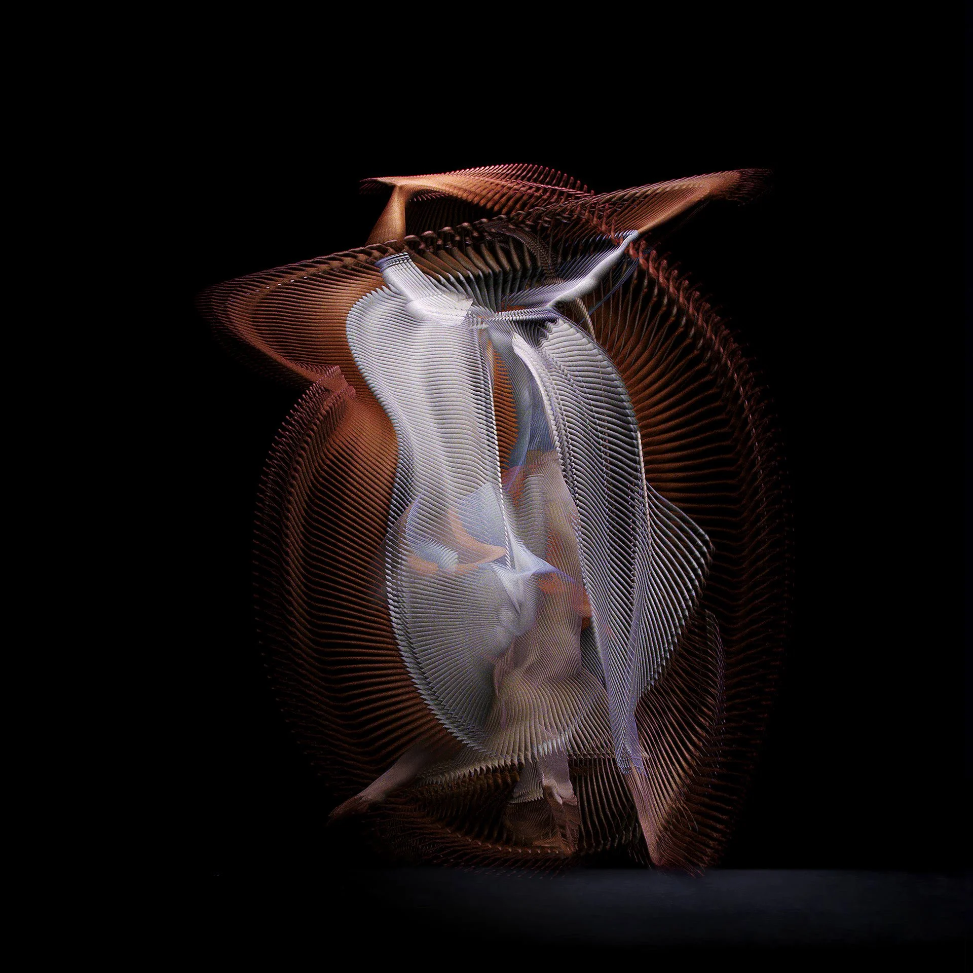 DANCER WHITE 2