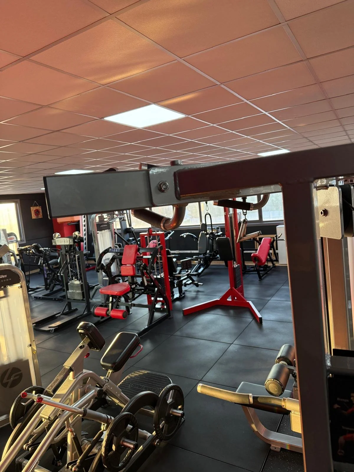 Sala palestra con attrezzi di vario tipo, tra cui macchinari per allenamento con pesi e cardio, in un ambiente ben illuminato.