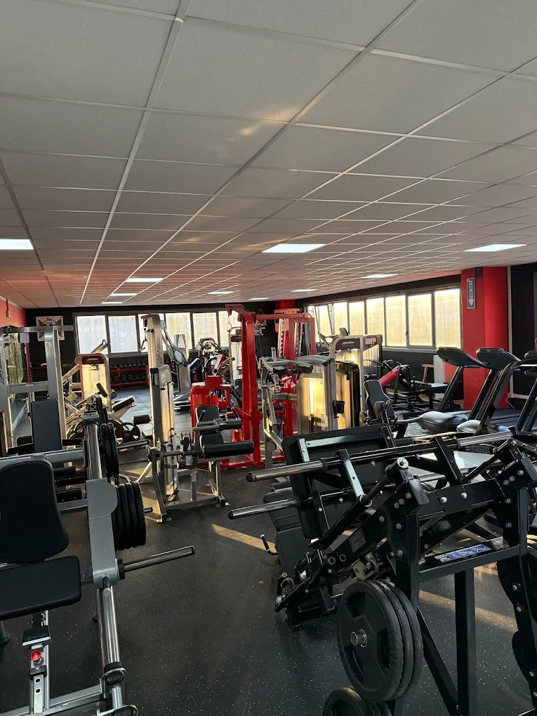 Interno di una palestra con varie attrezzature per esercizi, come pesi,macchinari e tapis roulant, con finestra che lascia entrare luce naturale.