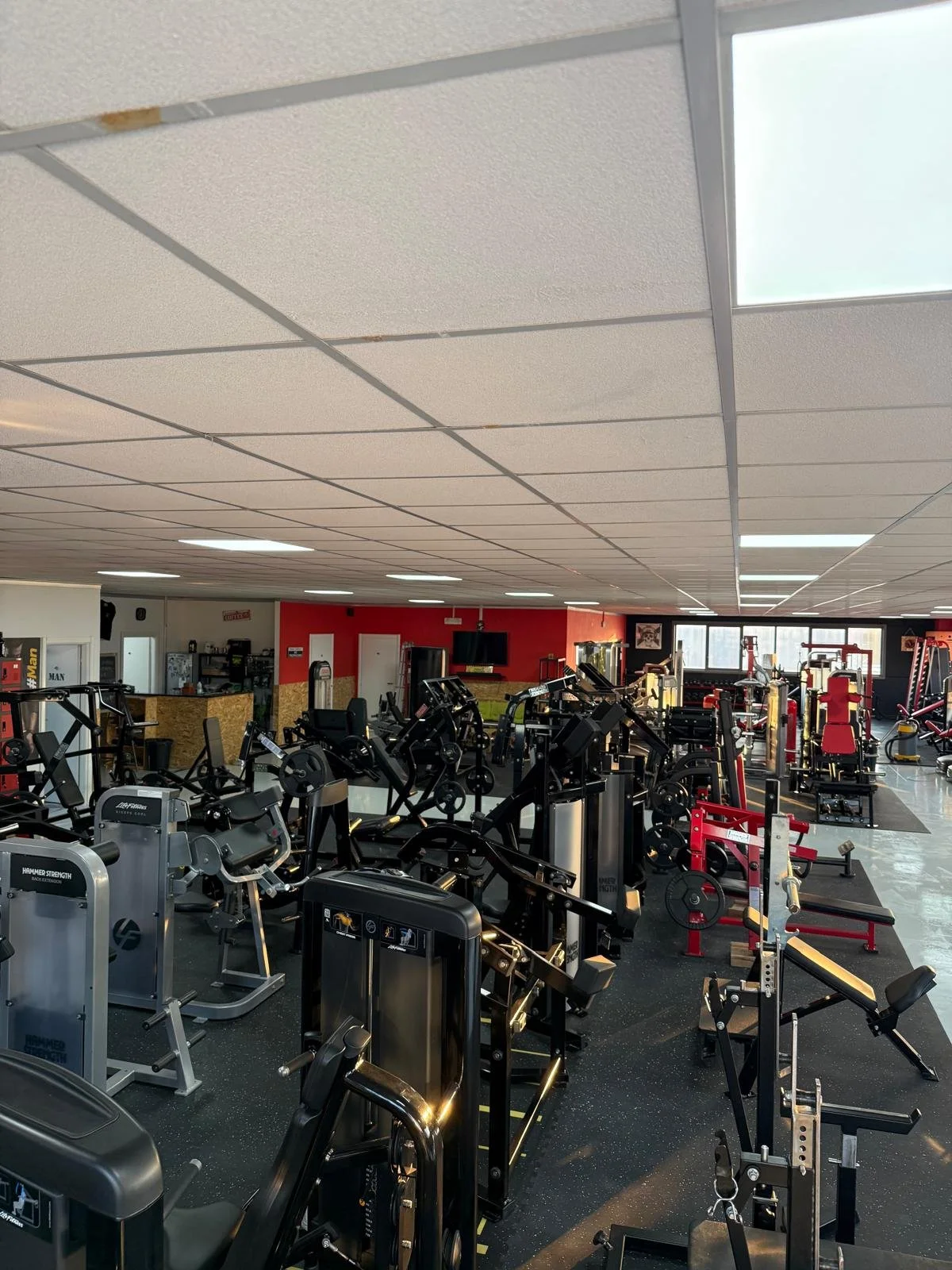 Palestra con varie attrezzature da palestra, esercizi e macchinari, all'interno di una sala ben illuminata