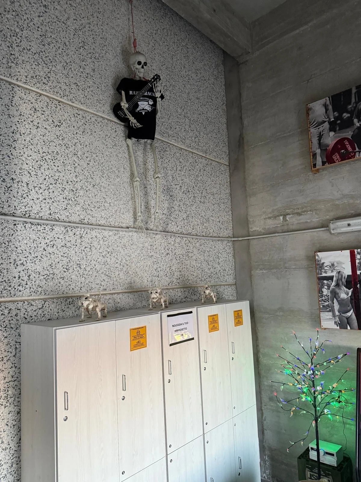 Decorazioni di Natale in un ambiente industriale con uno scheletro seduto su una mensola, una piccola albero di Natale illuminato e poster in bianco e nero sulle pareti.