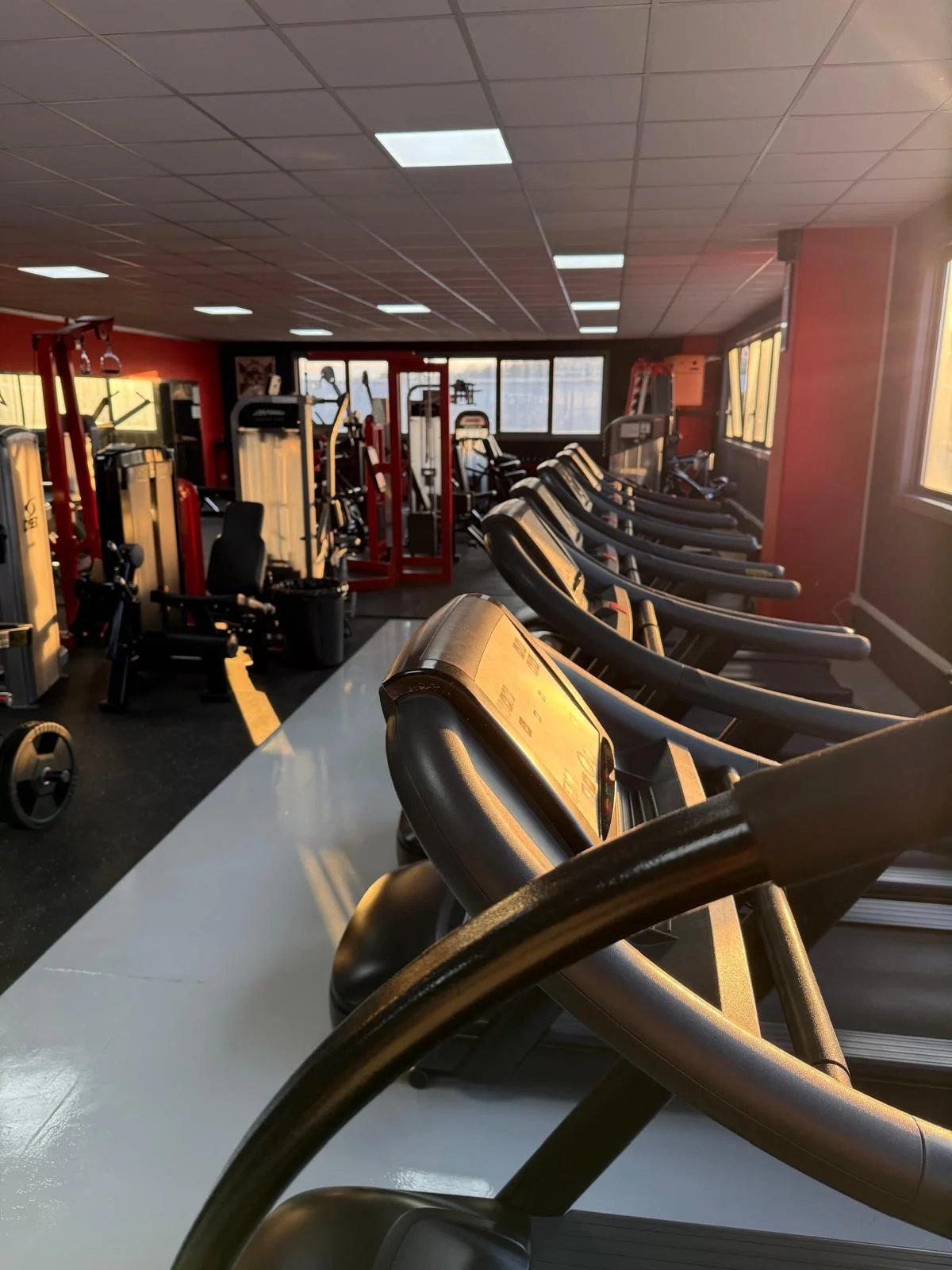 Sala attrezzata con tapis roulant e apparecchiature da palestra in una palestra con luci al soffitto e finestra che lascia entrare luce naturale.