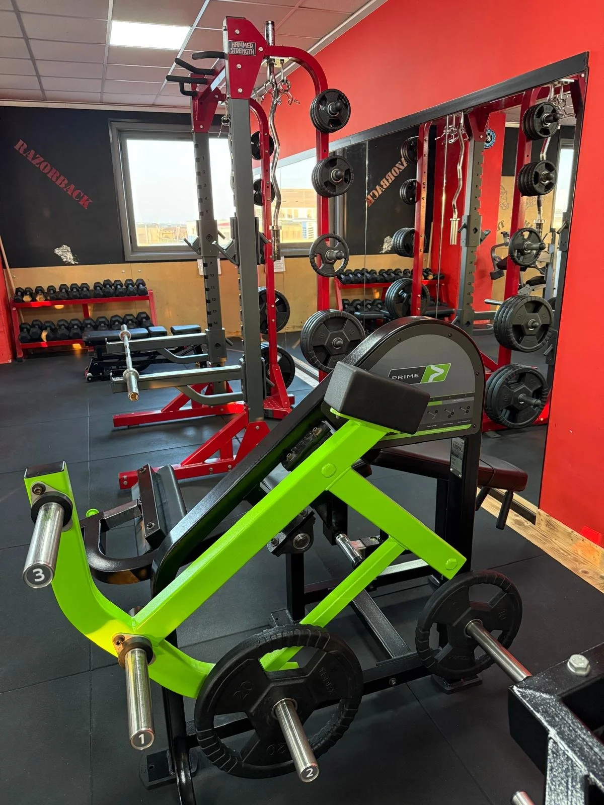 Attrezzature da palestra, tra cui pesi liberi, bilancieri e macchinari per allenamento, in una sala di palestra moderna.