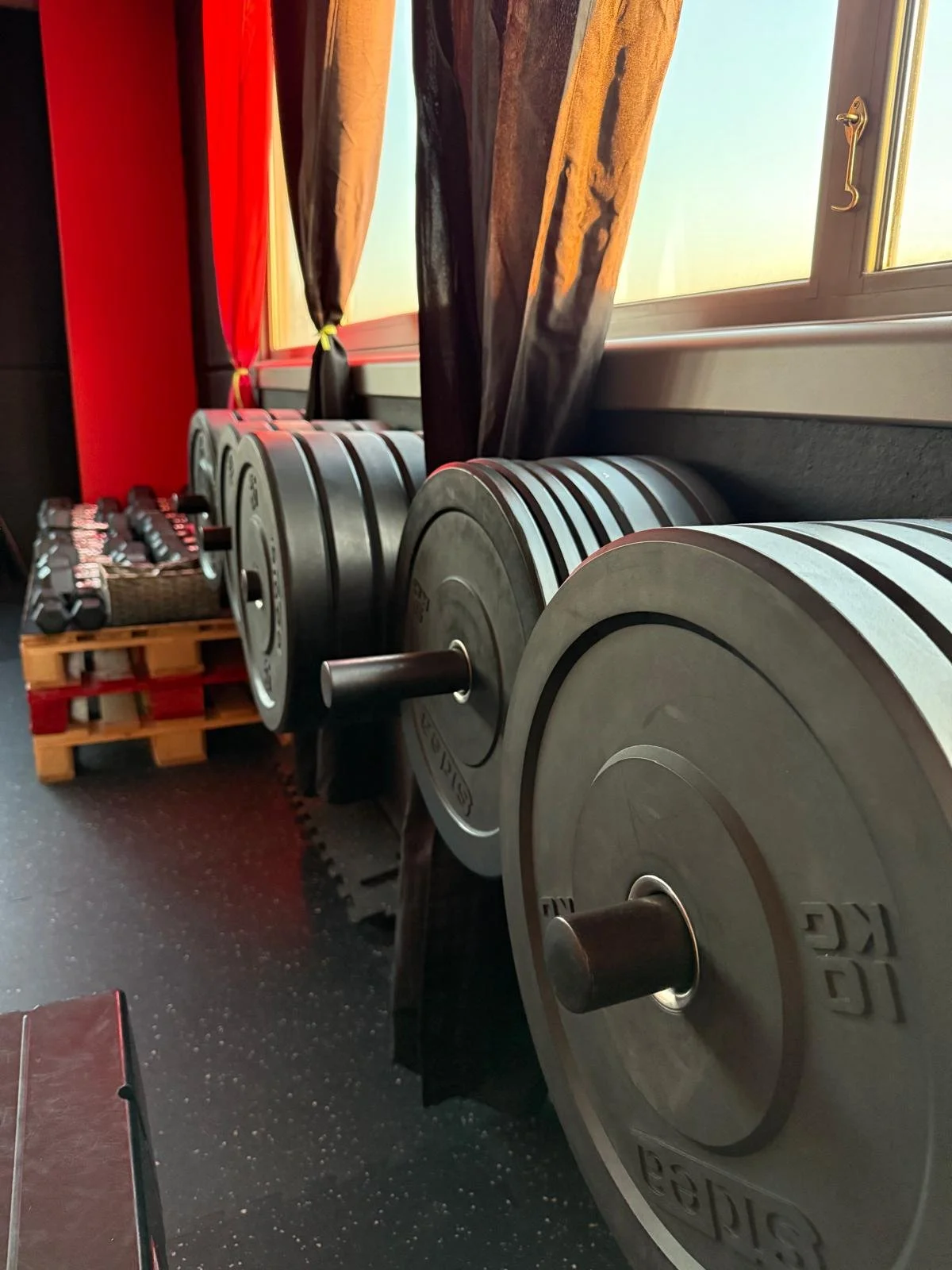 Pesi da palestra di varie dimensioni e un pedale, disposti contro una finestra con tende colorate, in un ambiente di palestra o centro fitness.