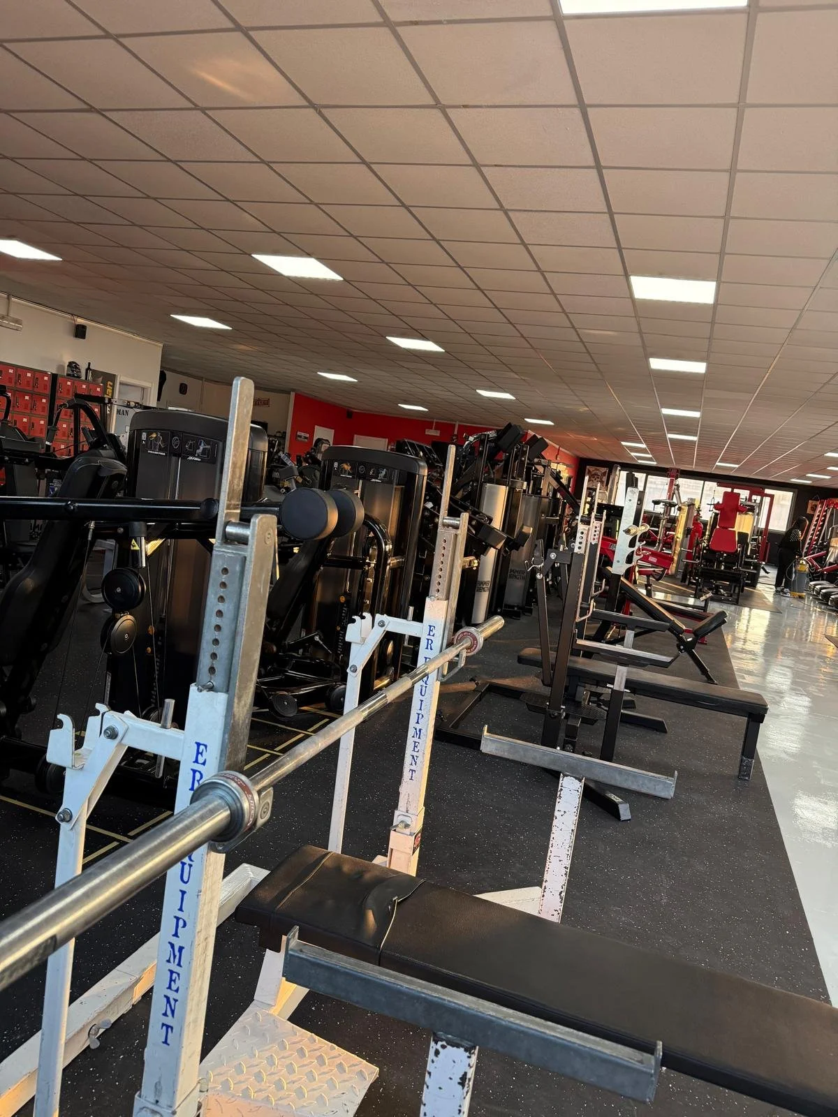 Interno di una palestra con attrezzi da allenamento, banco e pesi.