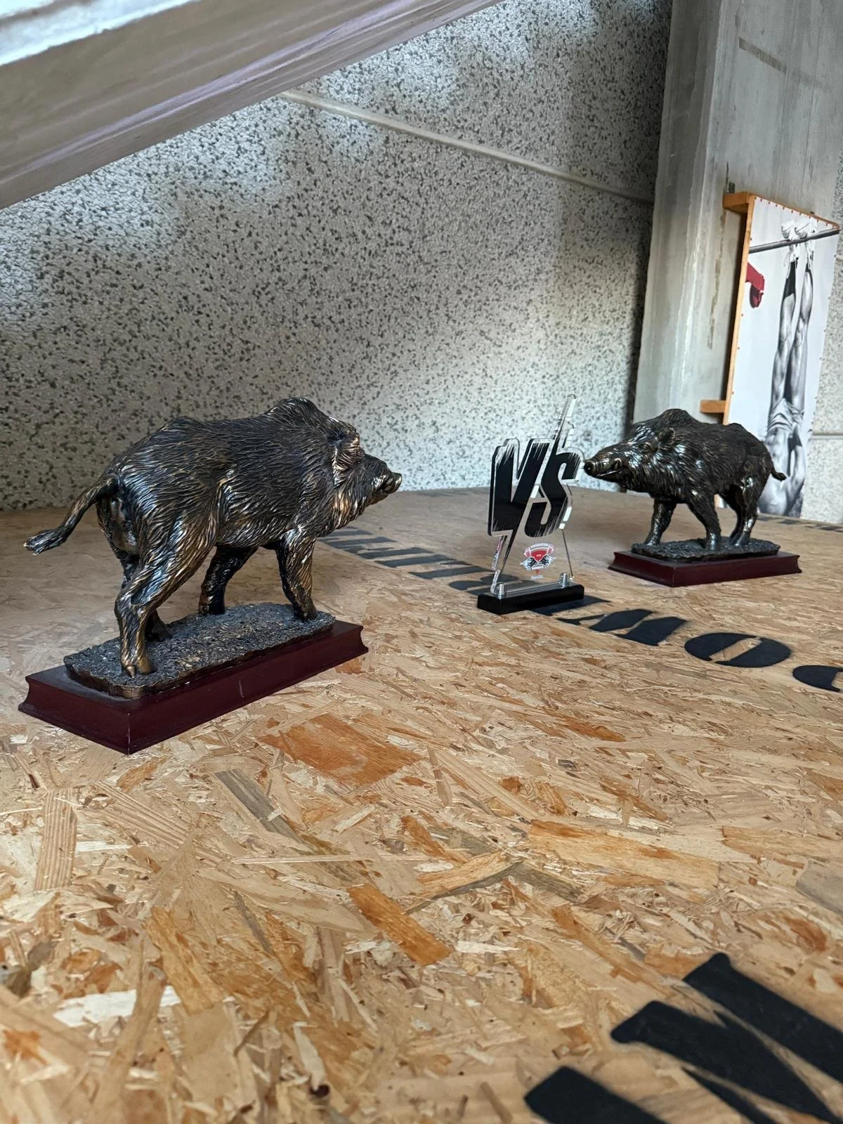 Statue di un orso e un altro di un orso bruno, disposte su un tavolo di legno, con simbolo VS tra loro e un'immagine di un'orso nel background.