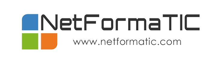 Logo Netformatic, Francheville