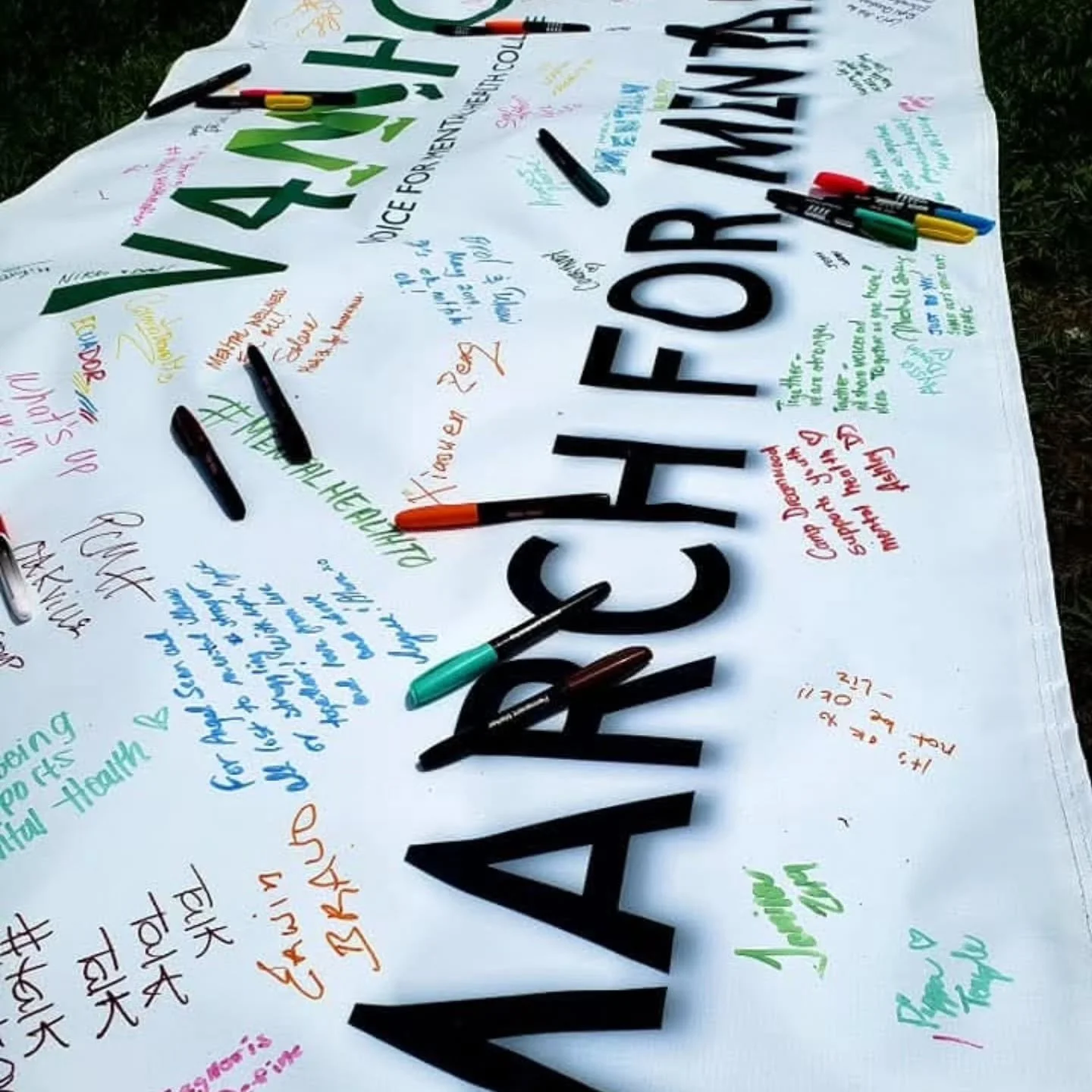 Some chapters of your life shape everything that comes after. This was one of mine.

For eight years I listened, spoke, petitioned, lobbied, organized, interviewed, rallied, and fought - for better mental health funding, for improved access to care, 