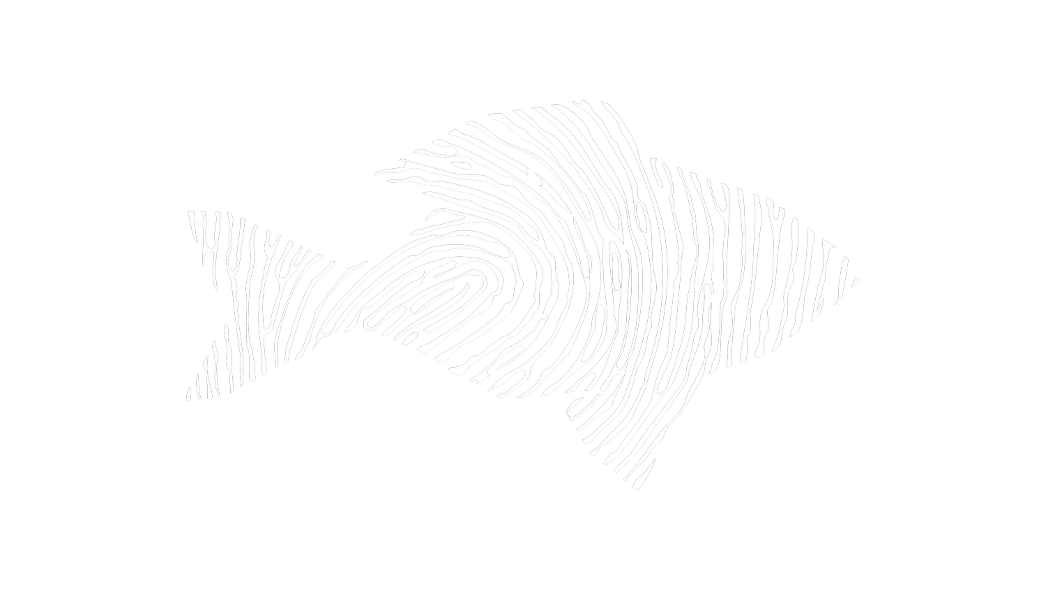 Blackfish
