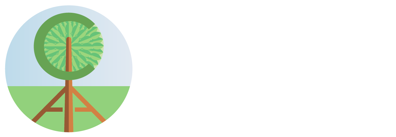 Counseling and Advocacy Associates