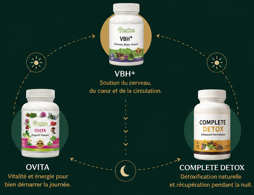 Trois compléments alimentaires disposés en cercle. En haut, VBH+ pour le soutien du cerveau, du cœur et de la circulation. À gauche, OVITA pour la vitalité et l'énergie. À droite, COMPLETE DETOX pour la détoxification naturelle et la récupération pendant la nuit.