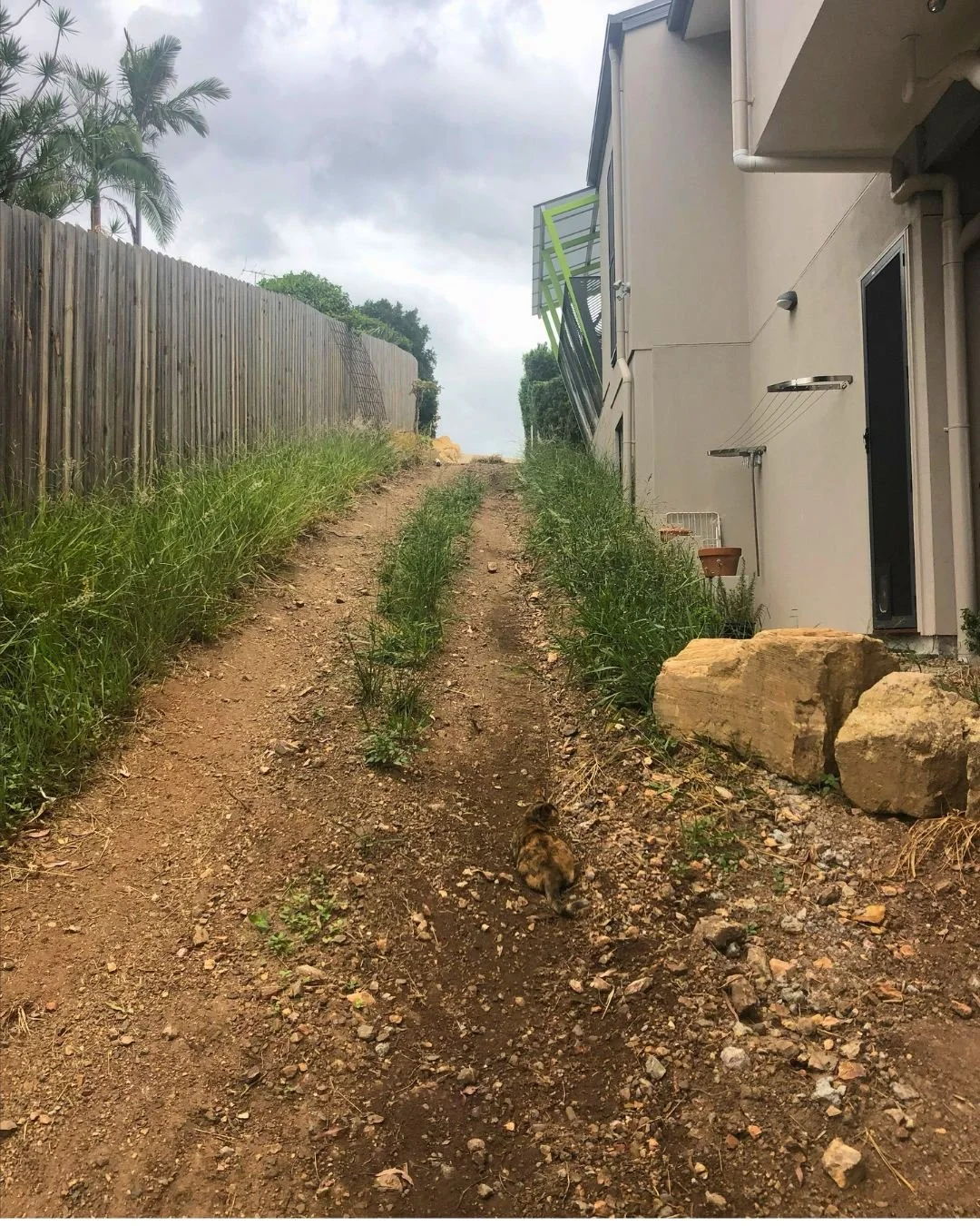 A dirt and gravel pathway on a steep incline, with a small cat walking down it. On the left, a wooden fence, and on the right, the side of a modern white house with a small balcony, bushes, and large rocks. Overcast sky above.