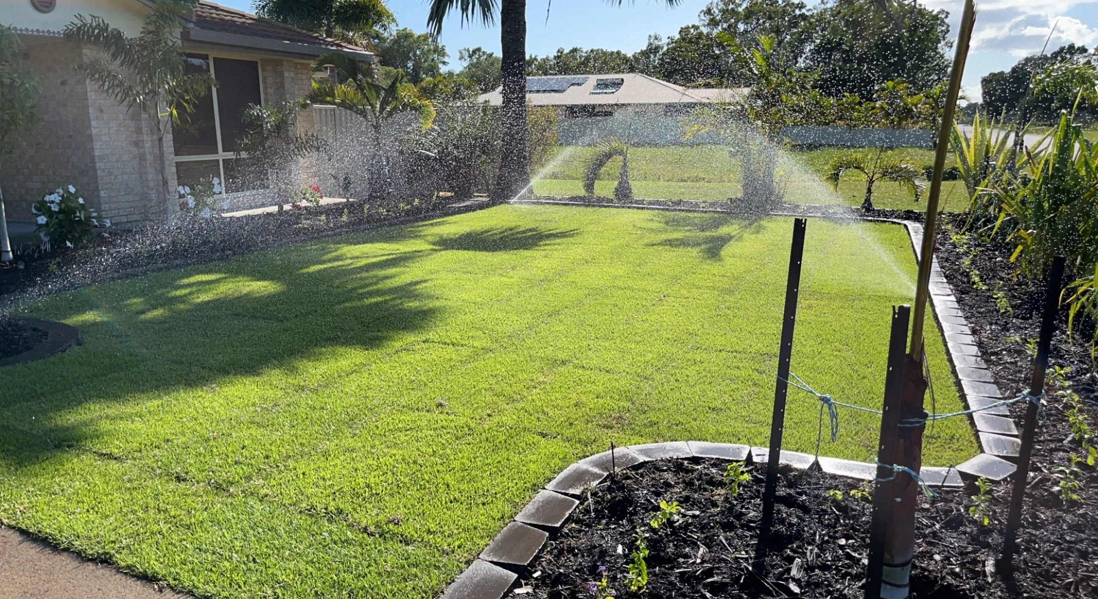 Freshly laid lawn after site excavated and garden landscape with a sprinkler watering the garden.