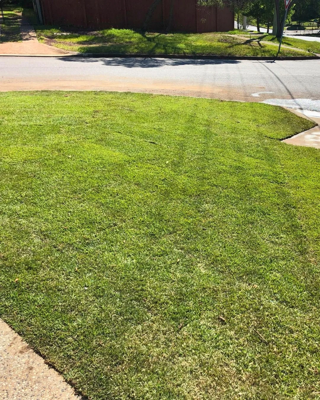 Green lawn with a sidewalk and a street in the background, trees casting shadows on the grass and a red fence.