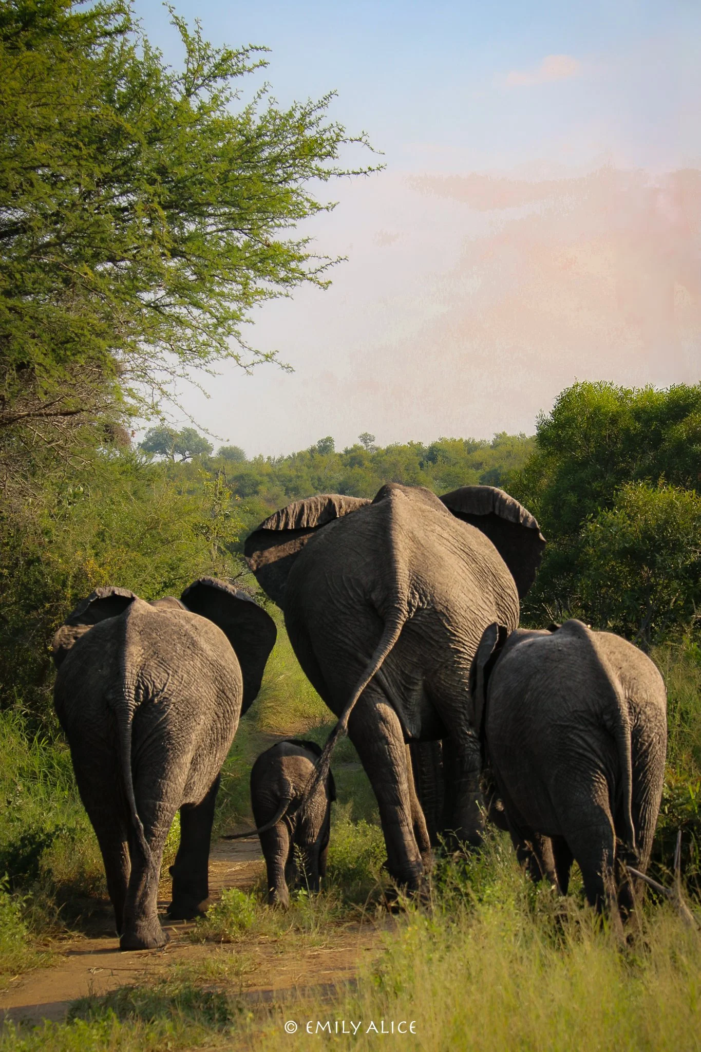 Wildlife-76.jpg
