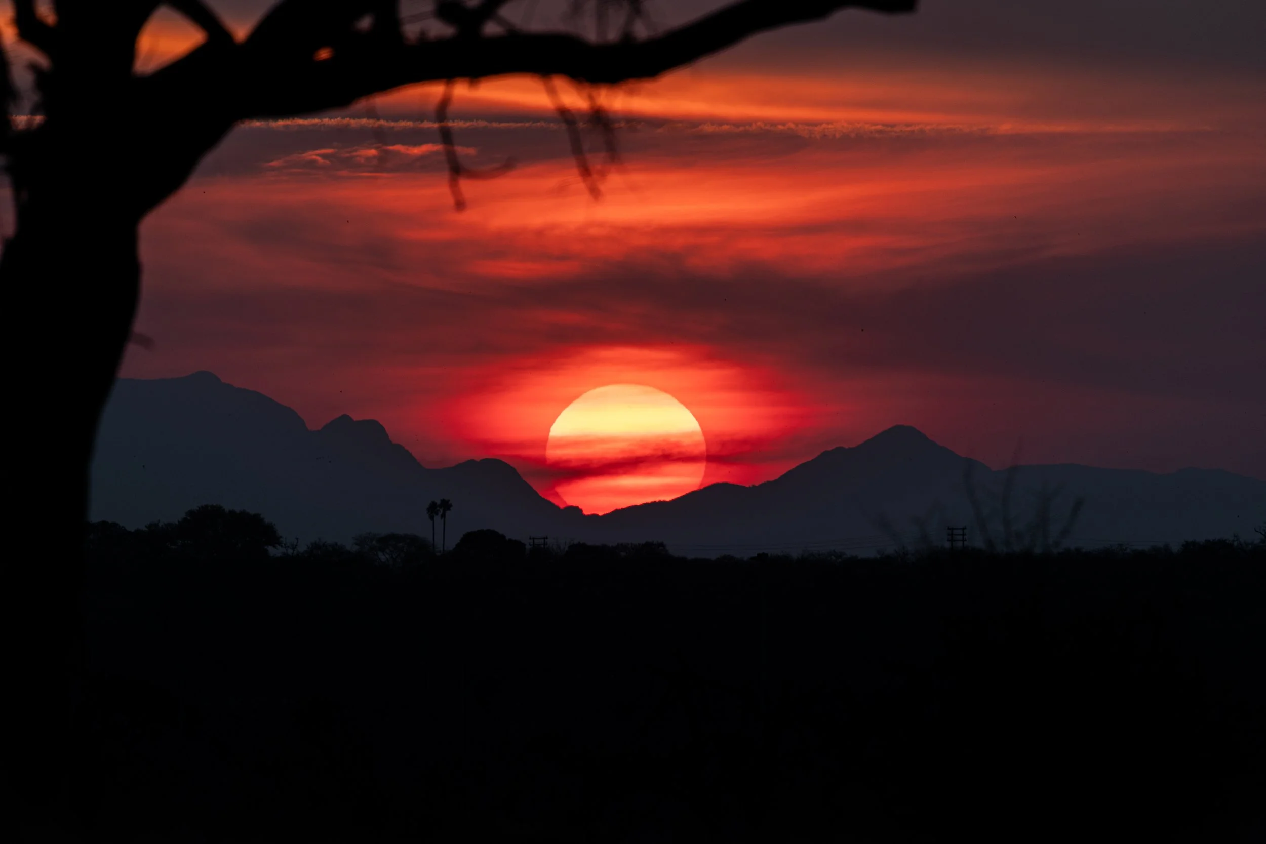 Landscapes & Experiences