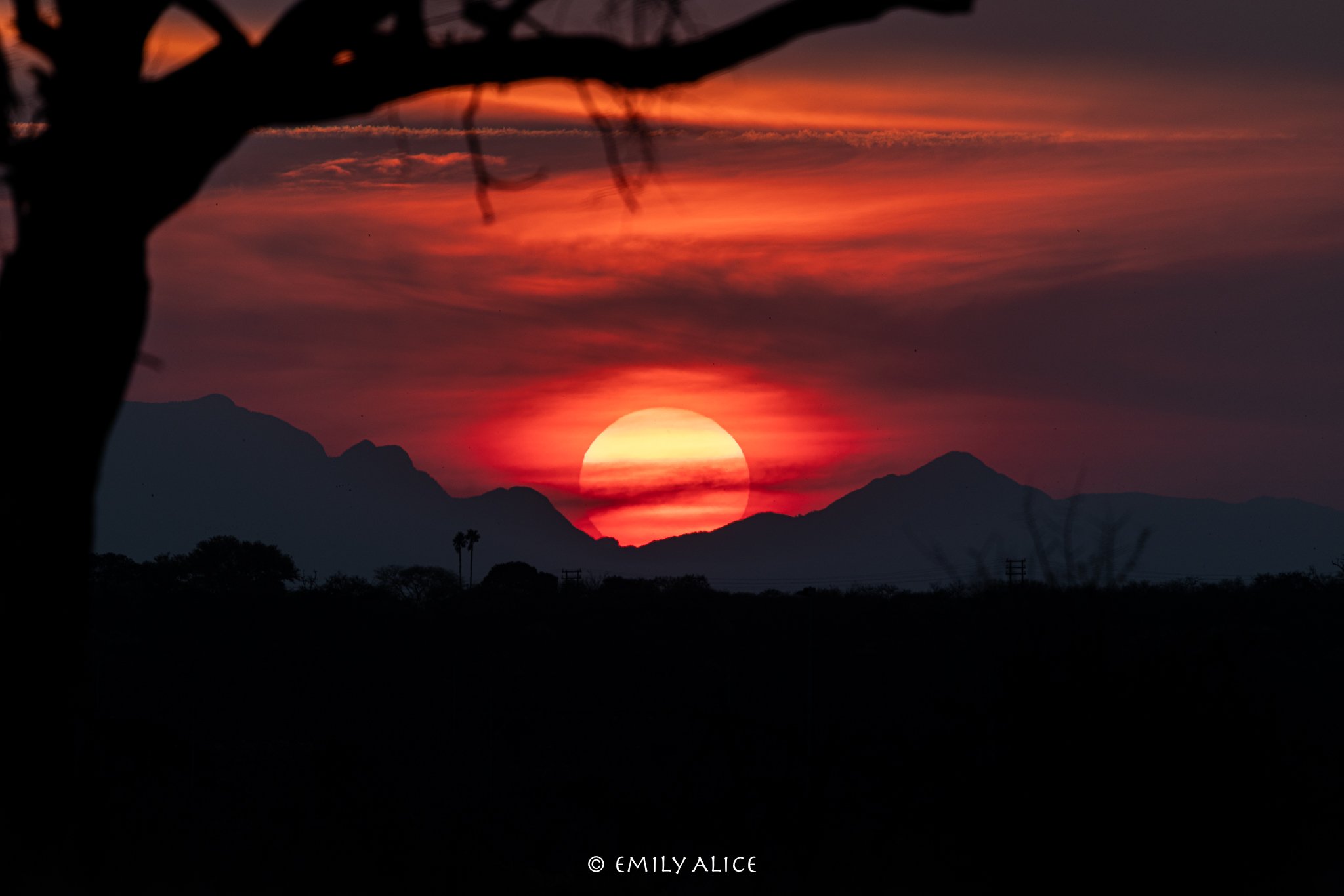 Wildlife-40.jpg