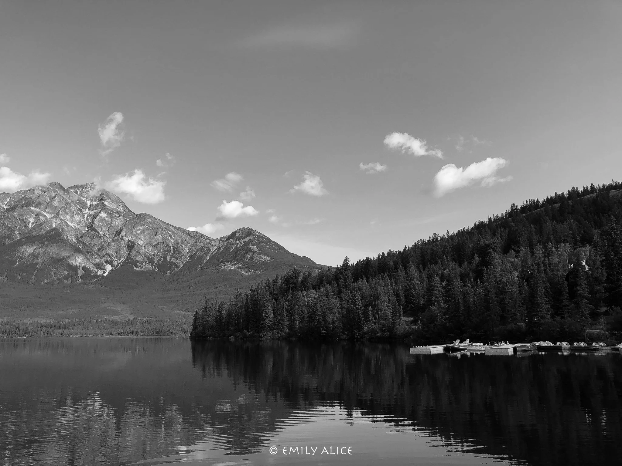 Wildlife-85.jpg