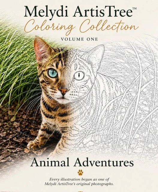 Cover of Animal Adventures from the Melydi ArtisTree Coloring Collection, featuring a cat shown partly in color and partly as line art.