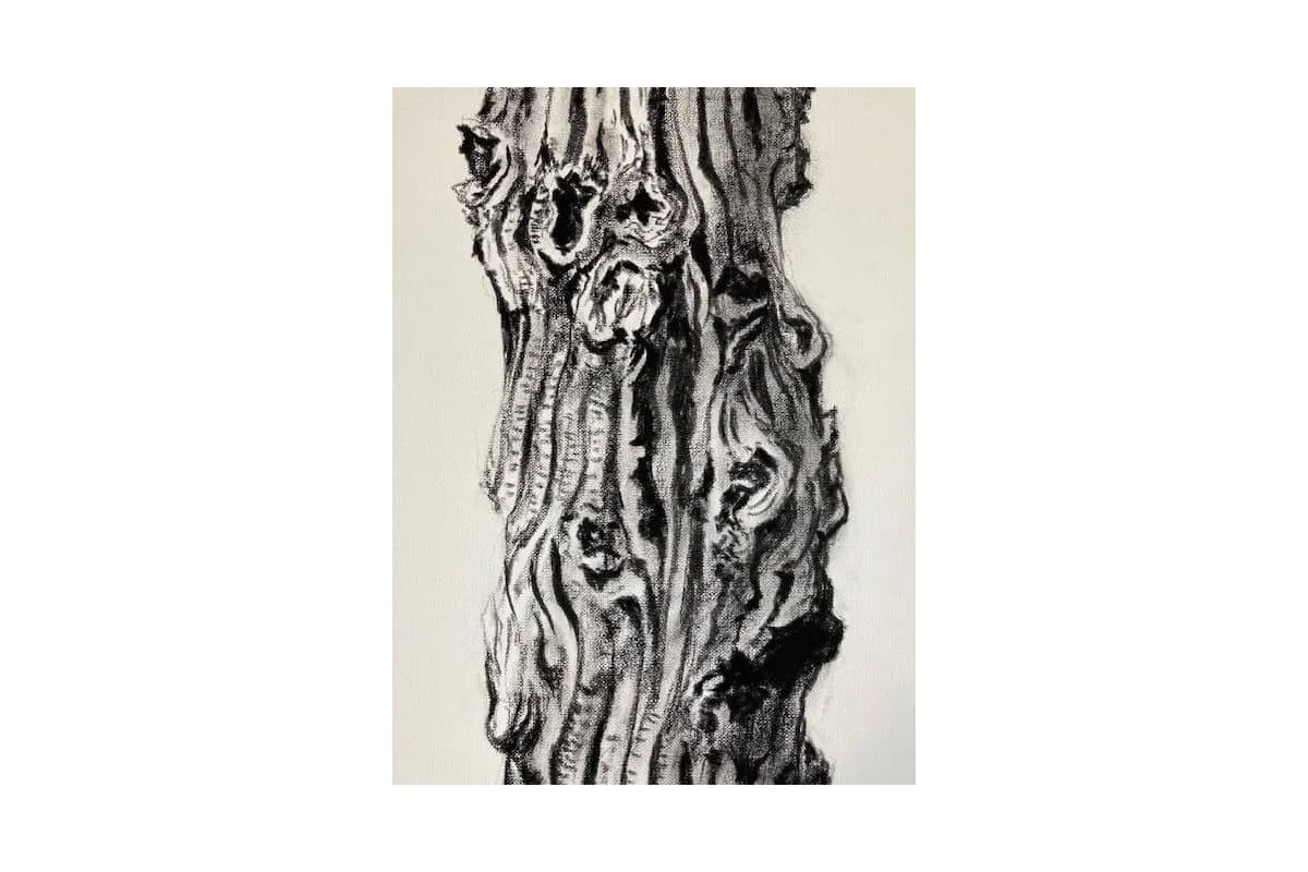 Alain Fleuret - Dessins - 3